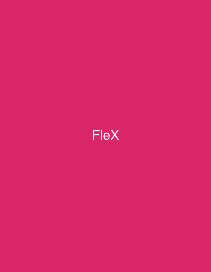 The image displays a solid, vibrant magenta background. Centrally positioned on this background is the word "FleX" rendered in white, sans-serif typeface. The 'F' and 'X' are capitalized, while 'l' and 'e' are lowercase. The overall composition is minimalist and abstract, featuring only the monochromatic field and the text. There are no visible individuals, objects other than the text, or discernible environmental features. The image does not contain any contextual information or visual cues that would indicate a specific geographical location, including the city of Casablanca, Morocco, or any other physical setting.