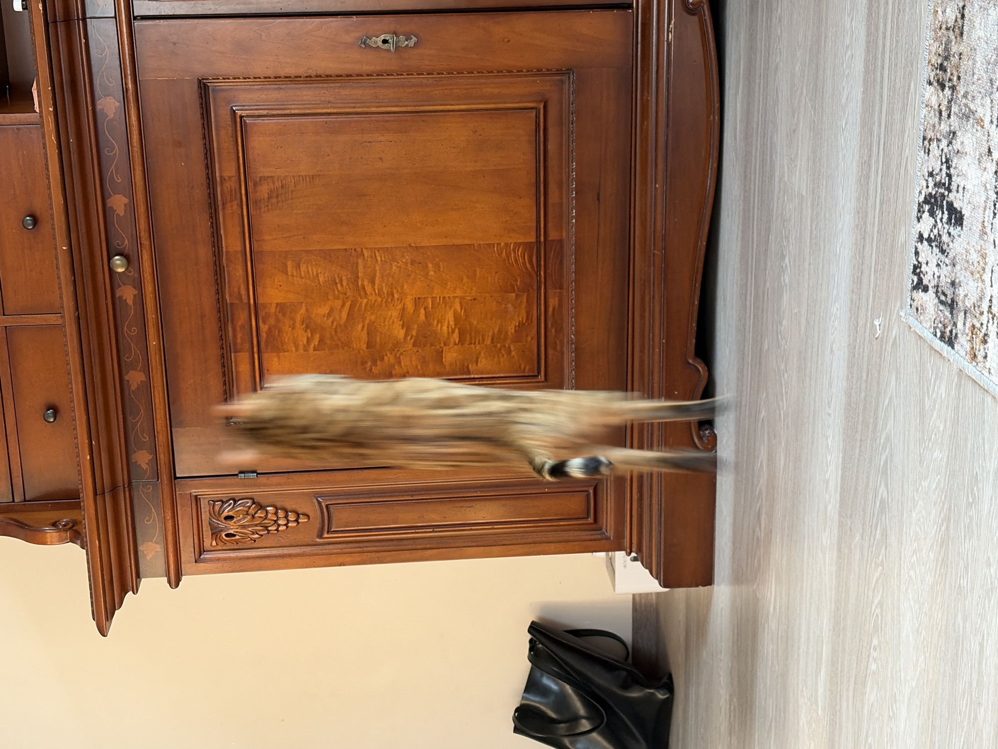 A domestic cat is captured mid-air, jumping towards a large, dark wooden cabinet. The cat's body is blurred due to motion, showing streaks of its brown and black fur. Its hind legs are extended, pushing off from the light-colored wooden floor. The cabinet has intricate carvings on its upper left side, featuring grape clusters. To the left of the cabinet, a black leather bag rests on the floor. The background wall is a plain beige color. The scene appears to be indoors, likely in a home, given the presence of furniture and a rug partially visible in the foreground. There is no indication of Krasnoyarsk, Russia, or any specific city.