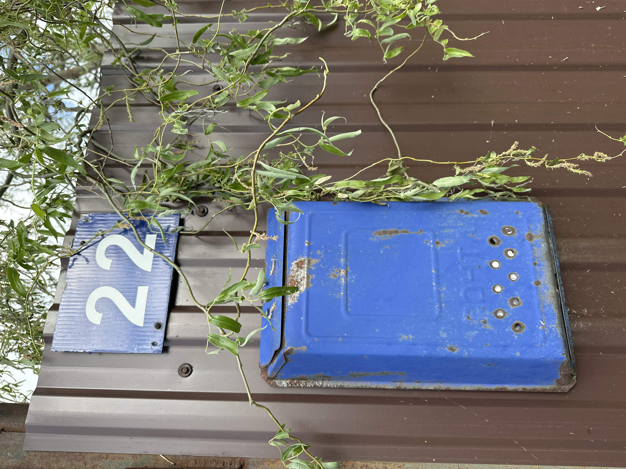 The image shows a section of a building exterior, likely in Среднее Кечево, Russia. The primary structure is covered in horizontally-oriented, ribbed brown metal siding. Mounted to the siding are two blue-painted metal objects. On the left, a rectangular sign displays the number "22" in white numerals. To the right of the sign, there is a larger, rectangular metal box, heavily rusted, with a series of holes drilled in a pattern on its surface. A vine with green leaves and thin branches drapes across the sign, the metal box, and the brown metal siding. The sky is visible in the upper left corner of the photo, suggesting an outdoor location.