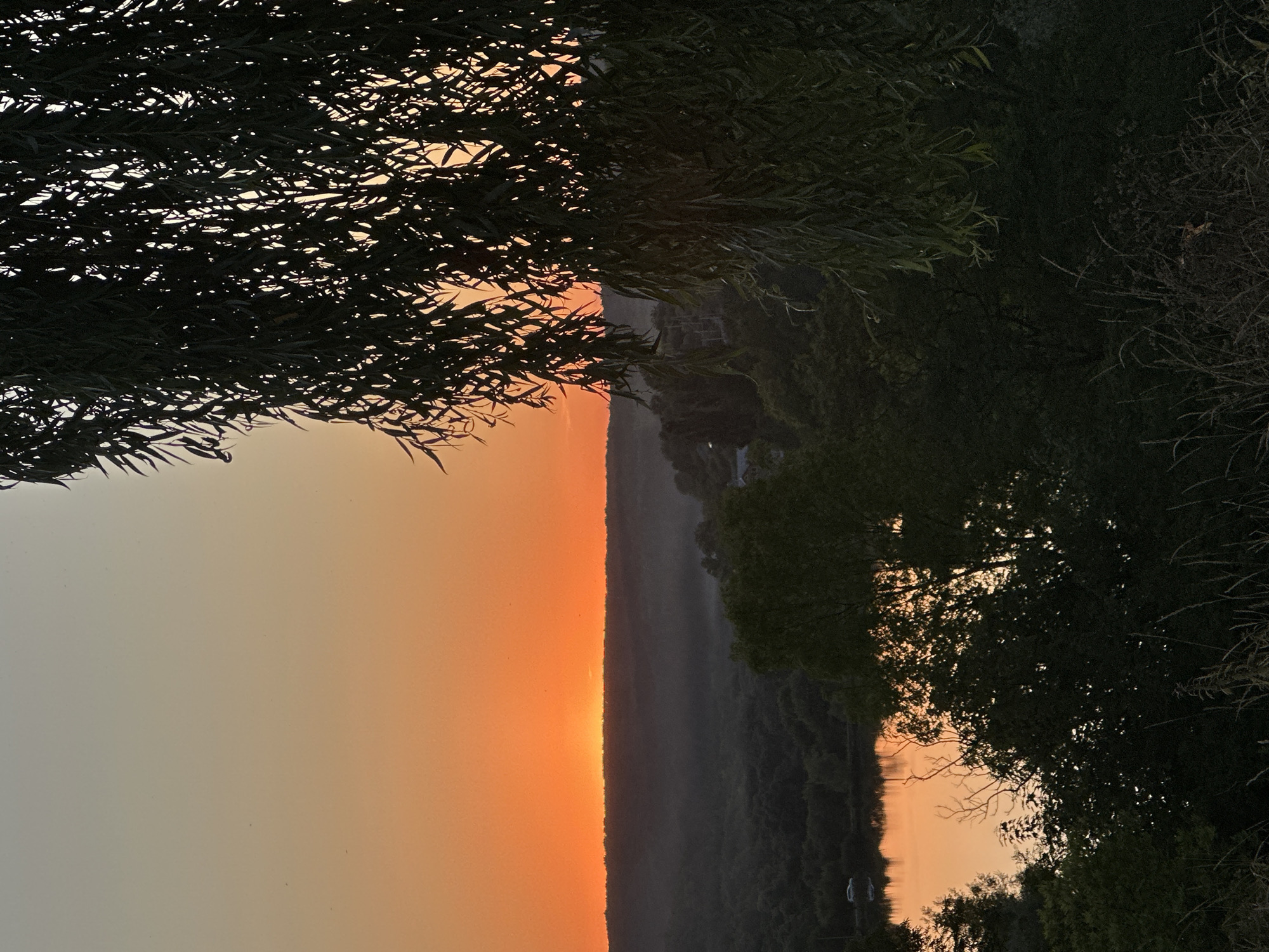 A sunset over a rural landscape in Makiv, Ukraine, is captured from an elevated vantage point. The sky is a vibrant gradient of orange and yellow, transitioning to a lighter hue near the top of the frame. In the foreground, dark, silhouetted branches of a weeping willow tree hang from the right side, obscuring a portion of the view. Below the horizon, a dark, forested valley is visible, with a still body of water reflecting the colorful sky. A single car is parked near the water's edge. The overall impression is one of natural beauty and tranquility at dusk.