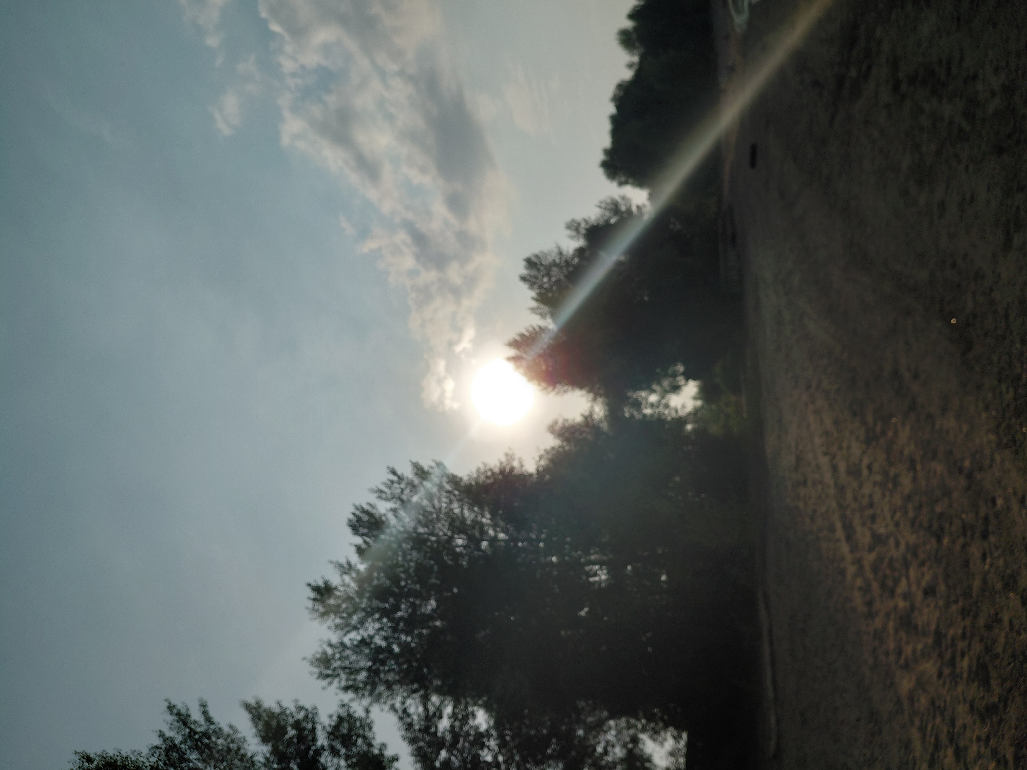 The image captures a view of trees against a hazy sky with the sun shining brightly, creating lens flare. The foreground appears to be a sandy or dirt area, possibly a beach or open ground, with some sparse vegetation. The location is identified as Novosibirsk, Russia. There are no people or specific objects visible that would indicate an action or interaction. The overall atmosphere is tranquil and natural, suggesting an outdoor setting in the late afternoon or early morning due to the low angle of the sun.