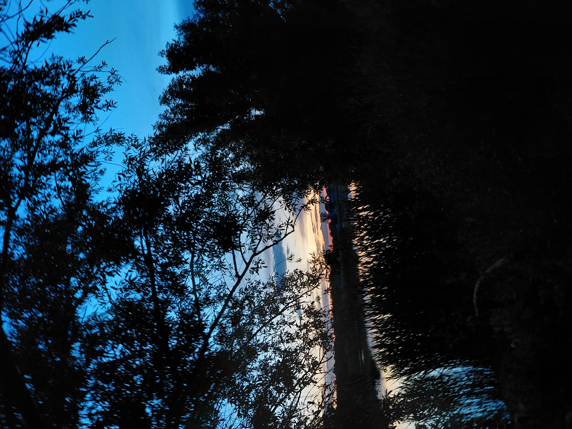 The image depicts a twilight scene near a body of water, likely a river or lake, in the city of Ustyvytsia, Ukraine. Silhouetted trees with dark foliage dominate the foreground and frame the view of the sky and landscape. The sky is a deep blue with hints of orange and yellow near the horizon, suggesting the last vestiges of sunset. Tall reeds or grass are visible along the water's edge, also in silhouette. The water reflects the dim light of the sky. The overall atmosphere is serene and tranquil.