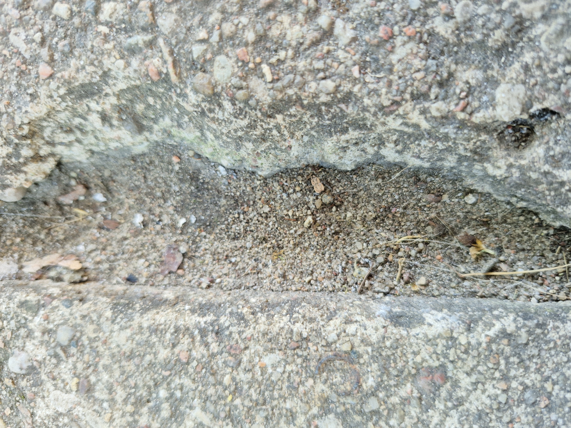 The image is a close-up, overhead shot of a textured concrete surface. The surface appears to be a sidewalk or a similar outdoor paved area. The concrete is rough and composed of small pebbles and aggregate, with some areas showing discoloration and weathering. There is a noticeable crack or seam running horizontally across the middle of the image, filled with fine sand and small debris, including bits of straw or dry grass. The upper and lower portions of the image show slightly different textures and densities of the aggregate in the concrete. The lighting suggests it is daytime, with natural light illuminating the scene. There are no people or specific objects of interest visible, only the surface itself. The overall impression is one of an ordinary, weathered urban or suburban environment. The location context is Švenčionys, Lithuania.