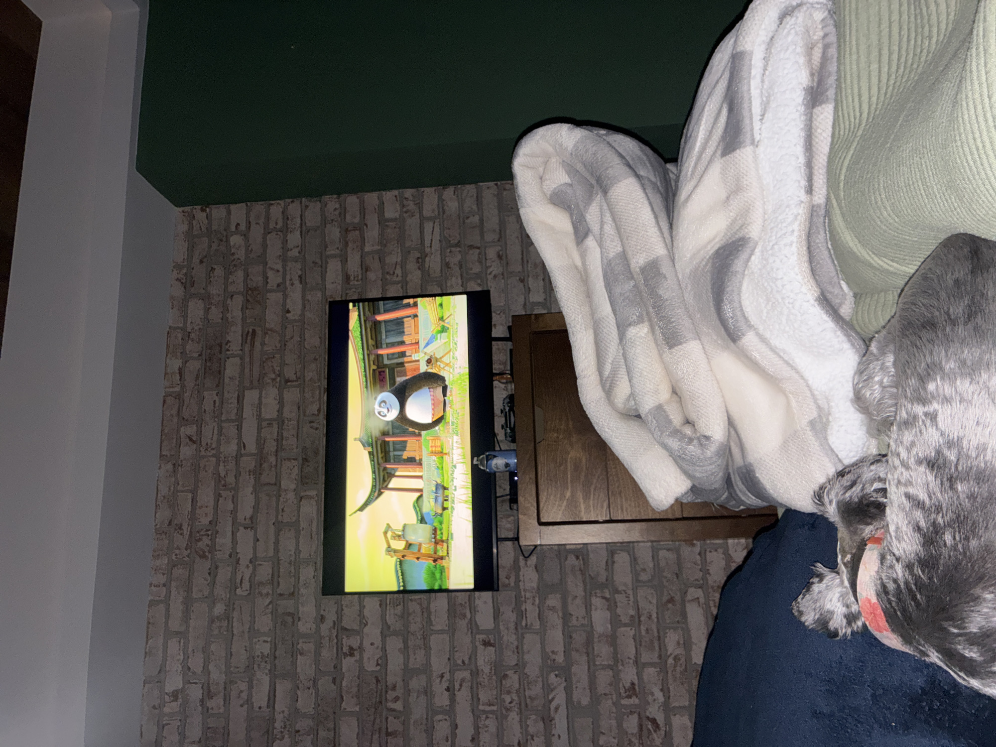The image shows a gray-and-white brick wall with a TV mounted on it. The TV is playing a cartoon featuring a panda. To the right of the TV is a dark brown wooden cabinet. Covering the right side of the image is a person wrapped in a light green sweater and a white-and-gray plaid blanket. A gray-and-white dog with a red collar is lying on a blue surface near the person. The location in the city of Huixquilucan de Degollado, Mexico cannot be determined from the image.