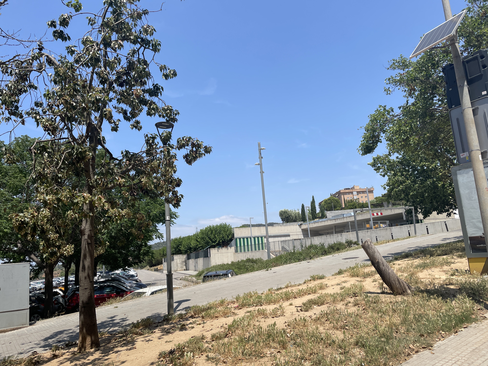 The image captures a scene in Sant Feliu de Llobregat, Spain, under a clear blue sky. A paved walkway runs along the lower left edge of the frame, adjacent to a parking area filled with numerous cars of varying colors. Trees with green and brownish leaves are scattered throughout, one prominently on the left side. A lamppost stands nearby. A sloping road ascends towards a concrete structure with green and white striped vertical panels. Behind this structure, a light-colored building rises in the distance.
The right side of the frame contains a utility pole with a small solar panel affixed to it, positioned beside a tree. In the foreground, the ground is covered with dry grass and scattered weeds, with a weathered tree trunk leaning at an angle in the middle. The environment suggests a suburban or semi-urban area with a mix of developed infrastructure and natural elements.