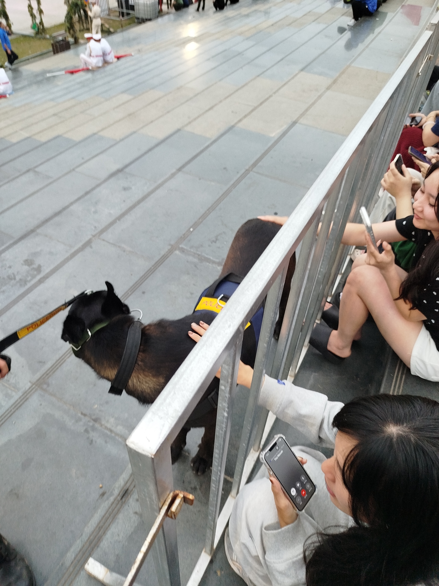 A black German Shepherd police dog is being led by a person holding a yellow leash with the word "POLICE" in black lettering. The dog wears a black harness and a blue vest with a yellow patch. The dog is standing on a grey tiered walkway, with a metal railing to its right. Several people are seated on the steps behind the railing, some looking at their phones. One person in the foreground is holding a phone with an incoming call displayed. In the background, on a higher level of the walkway, several individuals in white uniforms and hats are seated on the ground. The scene appears to be outdoors in a public area, likely in Da Lat, Vietnam, given the context of the request.