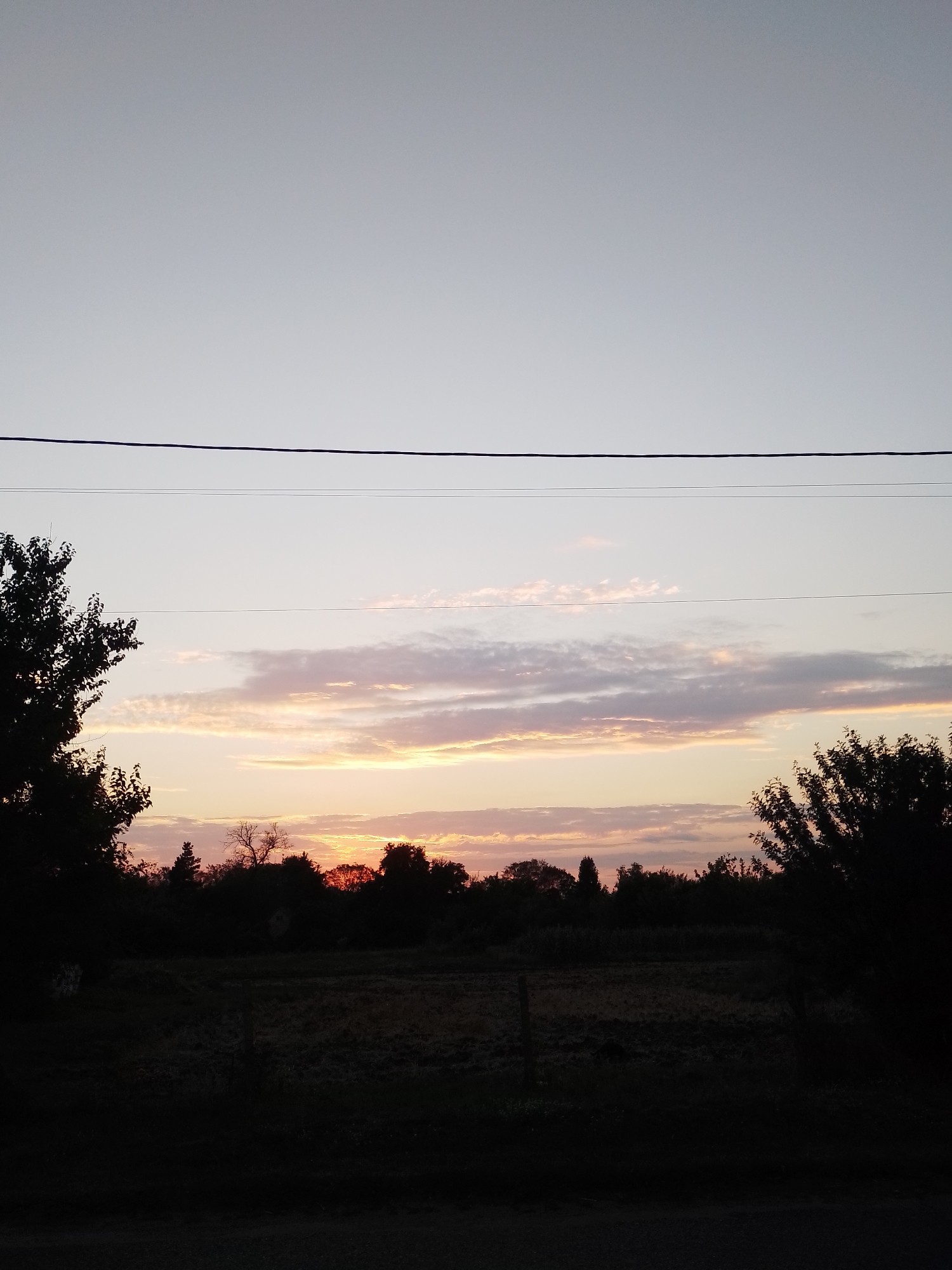 A sunset is depicted in an outdoor scene with silhouettes of trees and a fence. The sky is a gradient of light gray at the top, transitioning to pale pink and orange hues near the horizon where clouds are visible. Two power lines are stretched horizontally across the upper portion of the image. The foreground is dark and shows the silhouettes of trees on the left and right, with a field and fence in the middle ground. The overall impression is of a rural or suburban landscape at dusk.