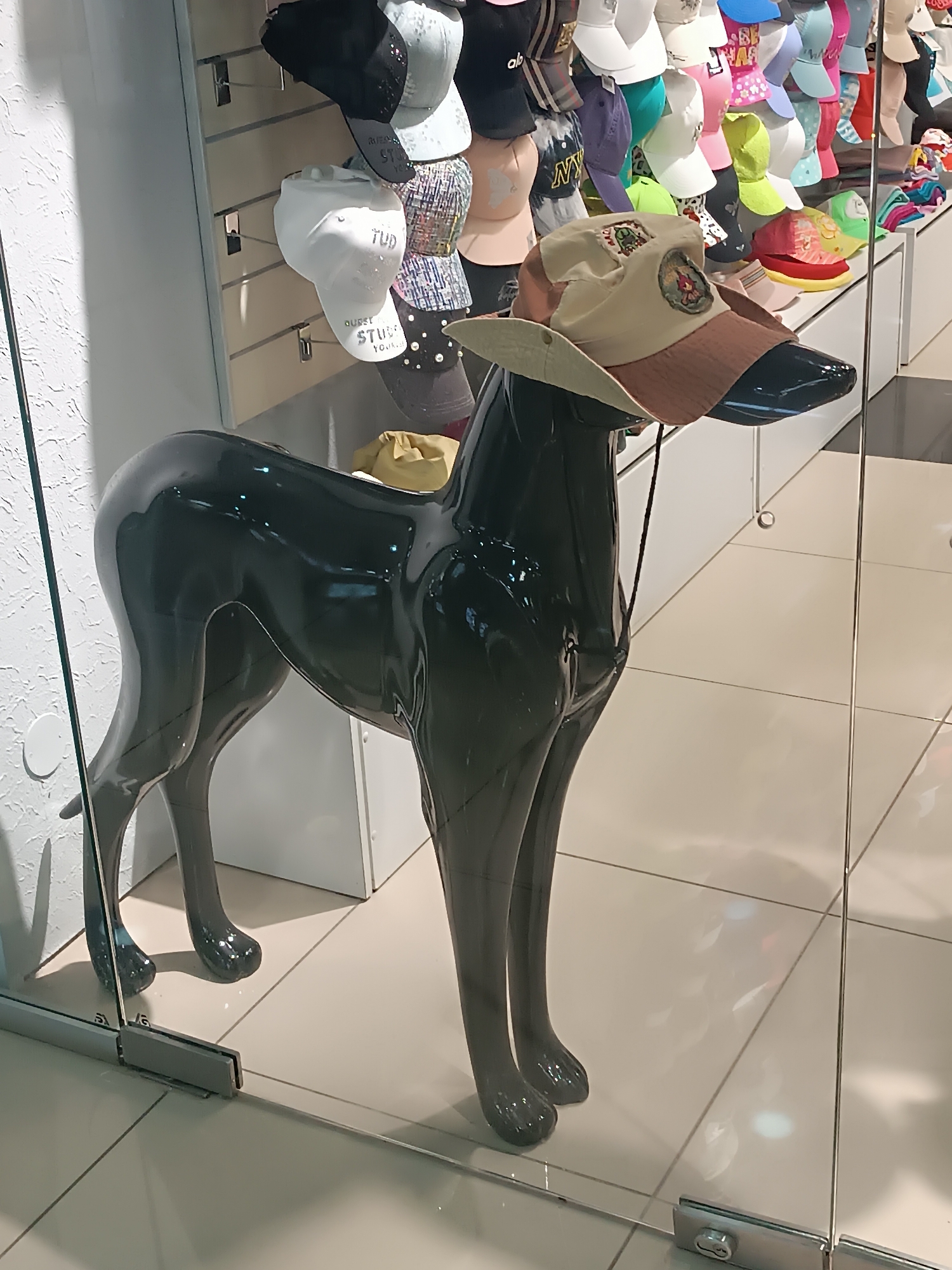 A black, stylized dog mannequin stands in a shop window, adorned with a tan-colored hat. A selection of baseball caps lines a display behind the mannequin. The location is suggested to be in the city of Сепыч, Russia, based on the user's specification.