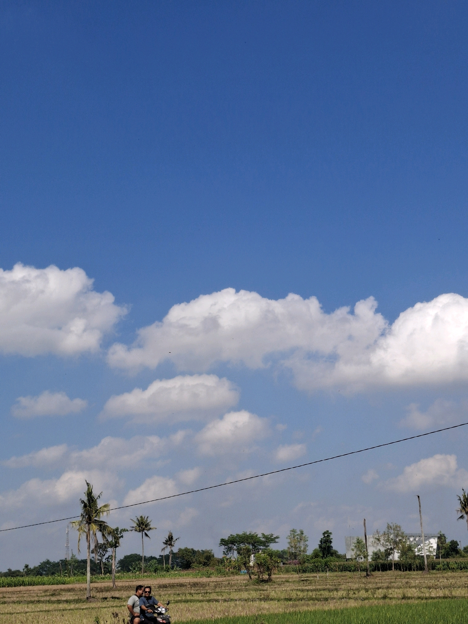 The image captures a rural scene in Lumajang, Indonesia, under a vast blue sky dotted with fluffy white clouds. In the foreground, two men are riding a motorbike through a field of dry grass, likely a harvested rice paddy. The men are casually dressed, with the rider wearing sunglasses and a dark t-shirt, while the passenger is in a light-colored t-shirt. Behind them, a line of palm trees and other vegetation stretches across the horizon, with a few scattered buildings and structures faintly visible in the distance. A power line cuts across the upper portion of the image, adding a man-made element to the natural landscape. The overall impression is one of a peaceful, sunny day in the Indonesian countryside.