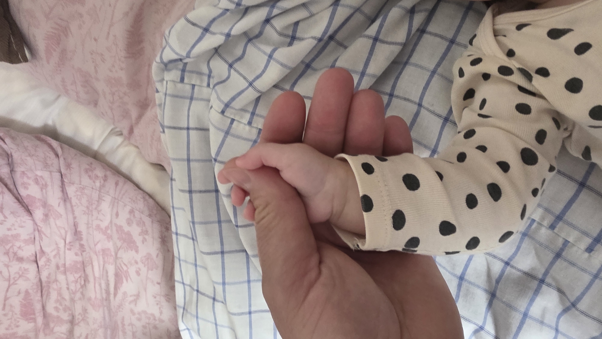 A close-up shot depicts an adult hand gently holding a baby's hand. The baby is wearing a light-colored long-sleeved onesie with black polka dots. The background consists of two bed sheets: one with a blue and white grid pattern and another with a pink floral pattern. The location of the scene is not discernible from the image content and cannot be confirmed as Blagoevgrad, Bulgaria.