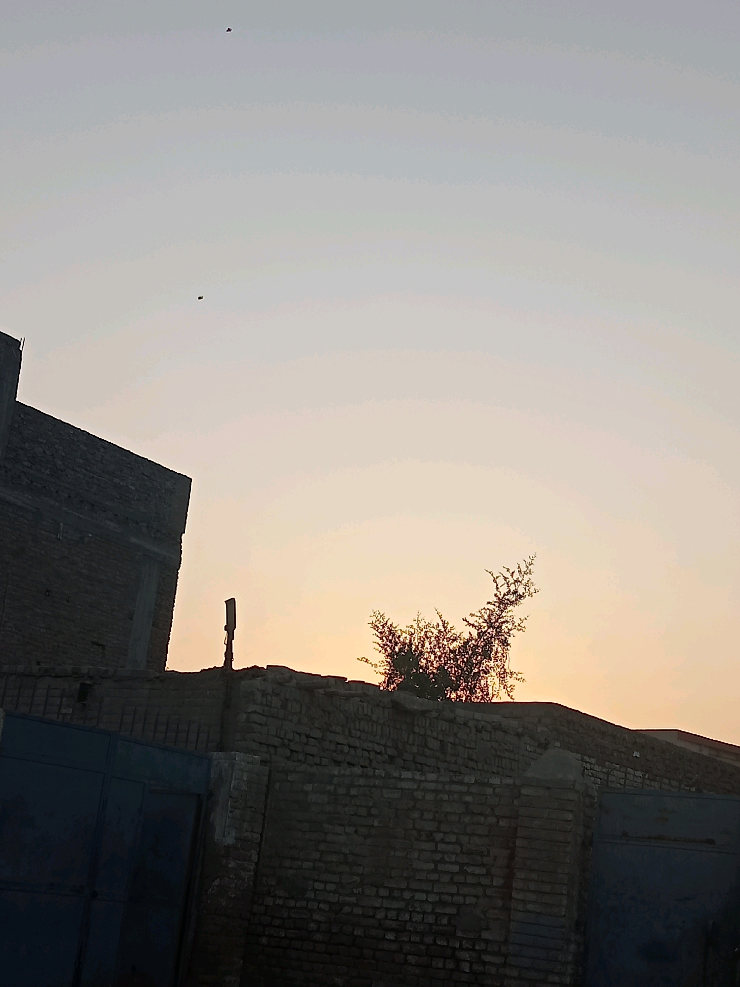 The image depicts a street scene in Sukkur, Pakistan, with a focus on the sky and the silhouettes of buildings and a tree against it. Two dark, rectangular objects, possibly kites or balloons, are visible in the upper portion of the sky. A stark, unfinished brick building is seen on the left, casting a shadow. In the foreground, a brick wall stretches across the scene, with a dark metal gate on the lower left. A bare, thorny tree with an intricate branch structure is silhouetted against the soft, gradient sky, which transitions from a pale blue at the top to a warm orange near the horizon, suggesting either sunrise or sunset. A vertical dark object, possibly a utility pole or antenna, stands out against the sky near the center of the image. The overall impression is one of a quiet, early morning or late evening in an urban or semi-urban environment.