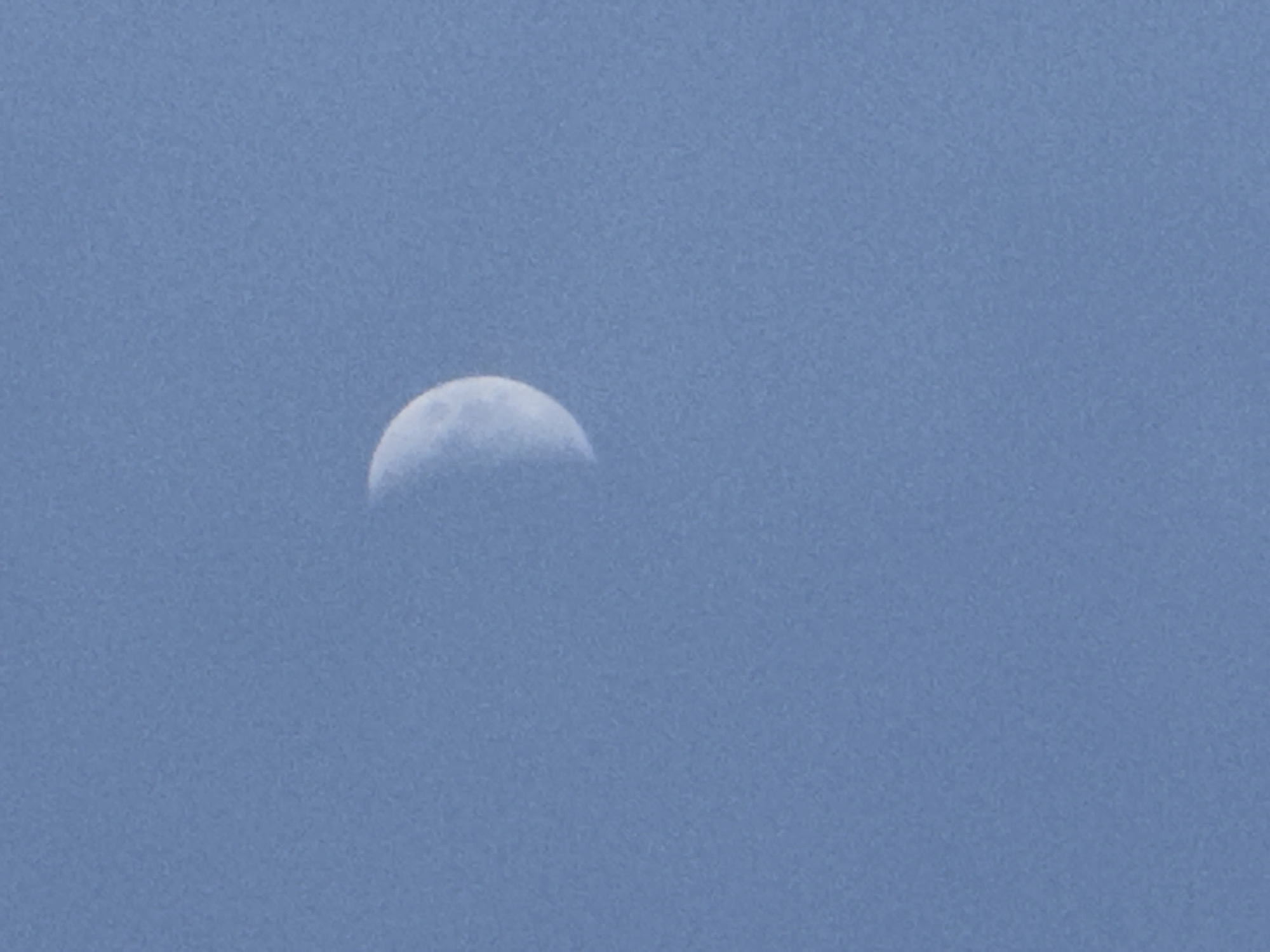 The image shows a half-moon in a pale blue sky. There are no people, objects, actions, or interactions visible other than the moon and the sky. The location is not discernible as it is just the moon and sky. It's impossible to tell if this image was taken in Tashkent, Uzbekistan, without more context.