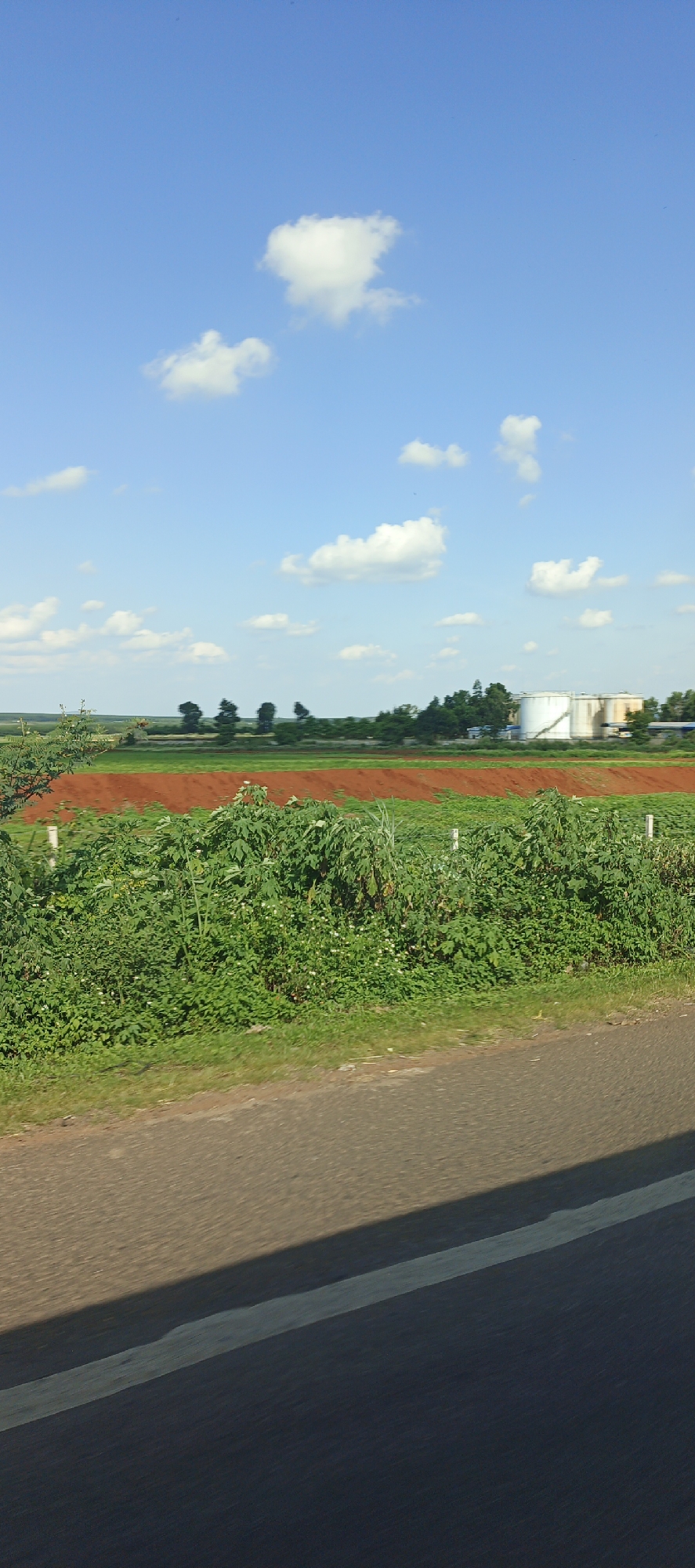 The image depicts a rural landscape under a bright blue sky with scattered white clouds. In the foreground, a paved road runs diagonally across the bottom of the frame, with a white line marking its edge. Beyond the road, a dense green hedge or vegetation grows. Further back, a field of reddish-brown soil is visible, suggesting agricultural activity. In the middle ground, more green fields and scattered trees stretch towards the horizon. On the right side of the horizon, several large white cylindrical structures, possibly storage tanks or silos, are situated near some buildings and trees. The overall scene suggests an agricultural area possibly near an industrial site on the outskirts of Chư Sê, Vietnam. There are no people or animals visible in the image.