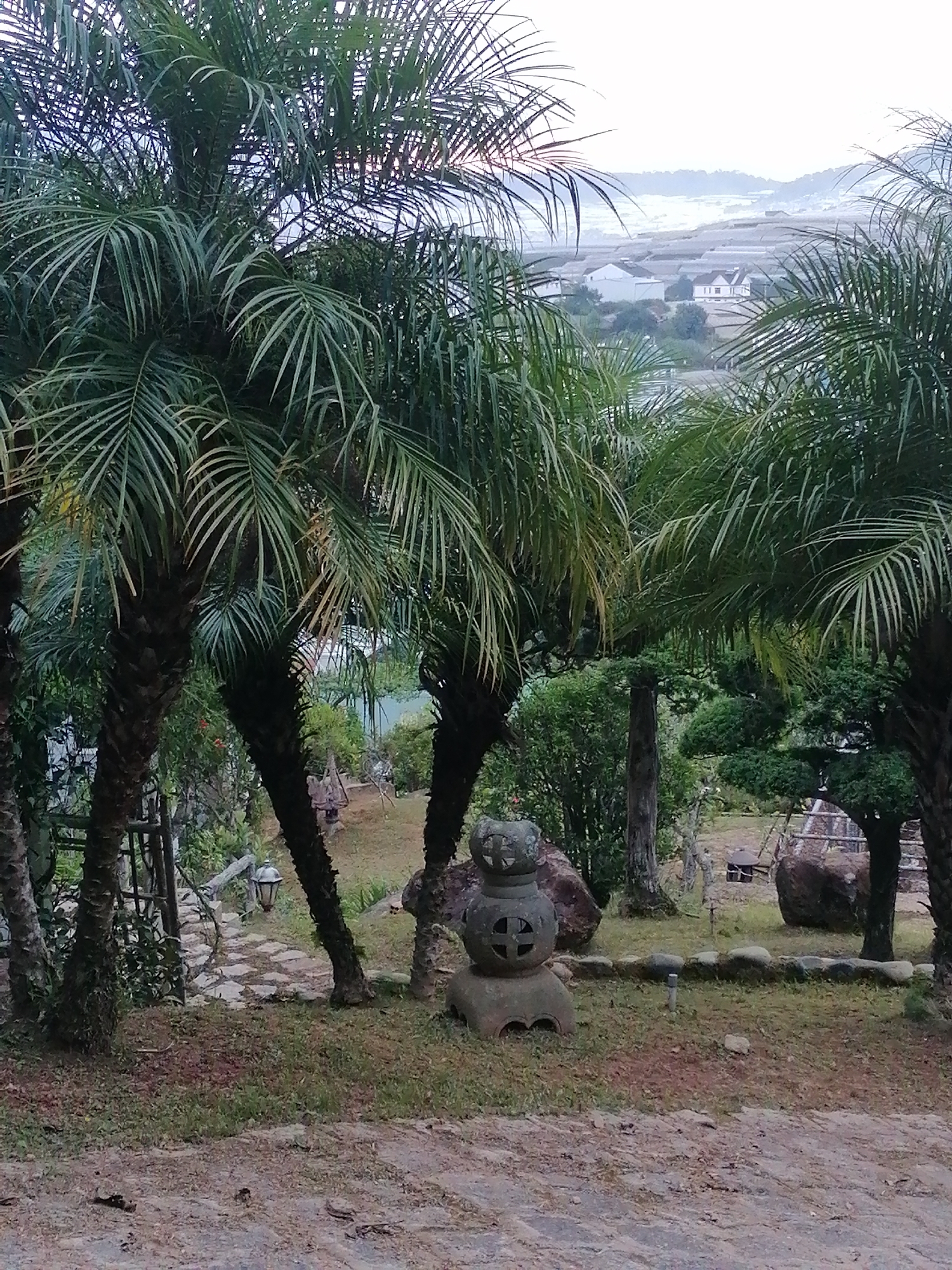 The image depicts a garden landscape in Xuân Trường - Đà Lạt, Vietnam, characterized by lush palm trees in the foreground. A stone pathway winds through the garden, leading to a rustic lamppost. In the mid-ground, a stone lantern, intricately carved with circular and cross motifs, stands as a decorative element. Beyond the garden, a vista of houses and agricultural greenhouses is visible against a hazy mountain backdrop. The overall scene suggests a tranquil, possibly residential, environment with a focus on natural elements and architectural features.