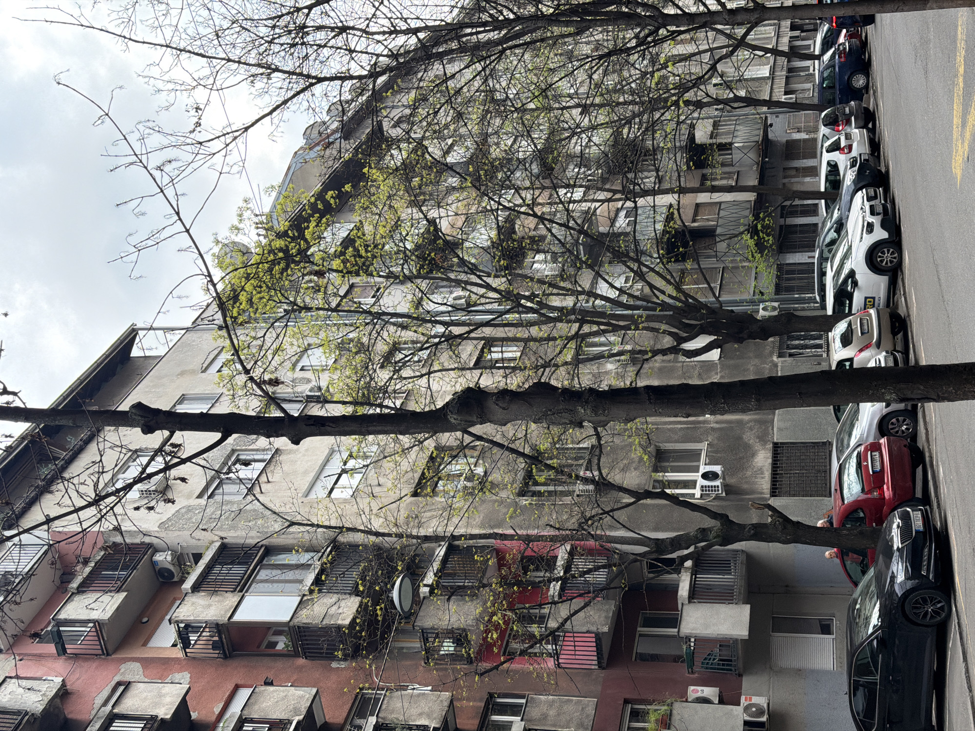 A street scene in Belgrade, Serbia, is depicted with a row of parked cars along the right edge of the frame. Several buildings line the street, and their facades are visible behind bare trees with sparse foliage. The buildings vary in color, with one appearing red and others appearing grey. Windows are prominent on each building. Some windows feature bars and some windows have air conditioning units installed below them. The sky is overcast.