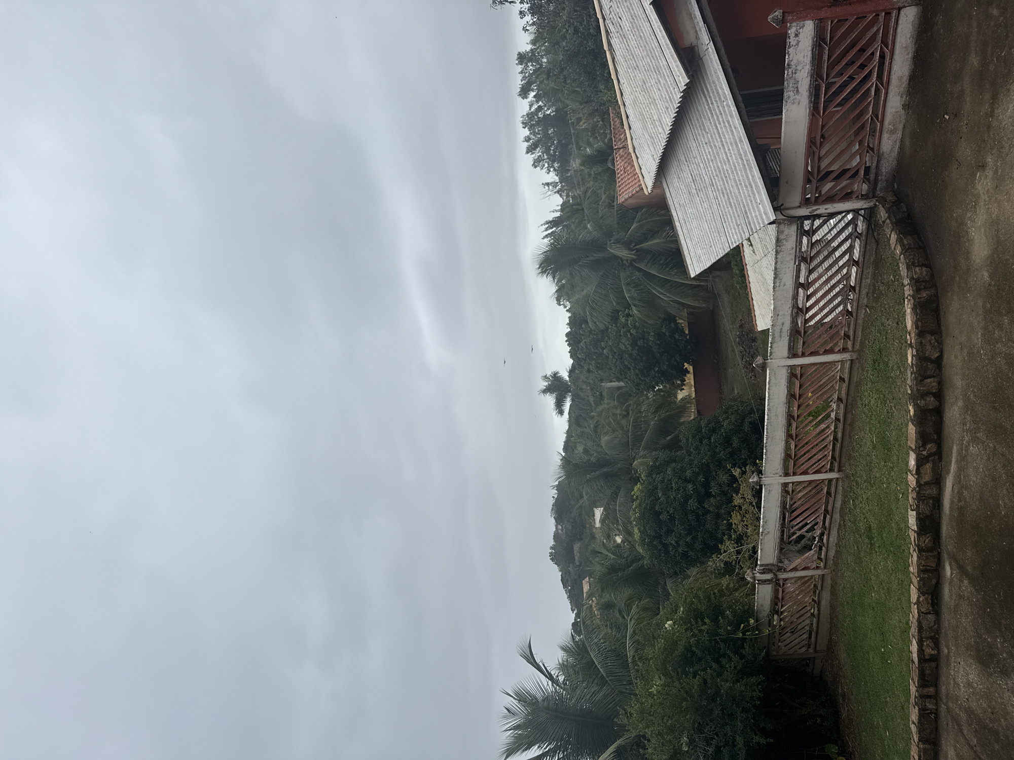 This image captures an outdoor scene, likely a residential area, under an overcast sky. The foreground features a concrete surface and a section of a lawn bordered by a low stone wall. Beyond the lawn, a decorative fence made of concrete posts and red, diamond-patterned metalwork runs across the mid-ground. This fence appears slightly damaged in one section. Behind the fence, lush green vegetation, including palm trees and other trees, dominates the landscape. In the background, a red-roofed building with a corrugated metal roof is visible, nestled amongst the trees. Further in the distance, a hilly terrain is covered with more greenery and scattered buildings. The overall impression is of a tropical or sub-tropical environment, potentially a suburban or semi-rural setting within the city of São Pedro Da Aldeia, Brazil. The sky is uniformly gray with some diffused light, suggesting either early morning, late afternoon, or a cloudy day. No people are visible in the image.