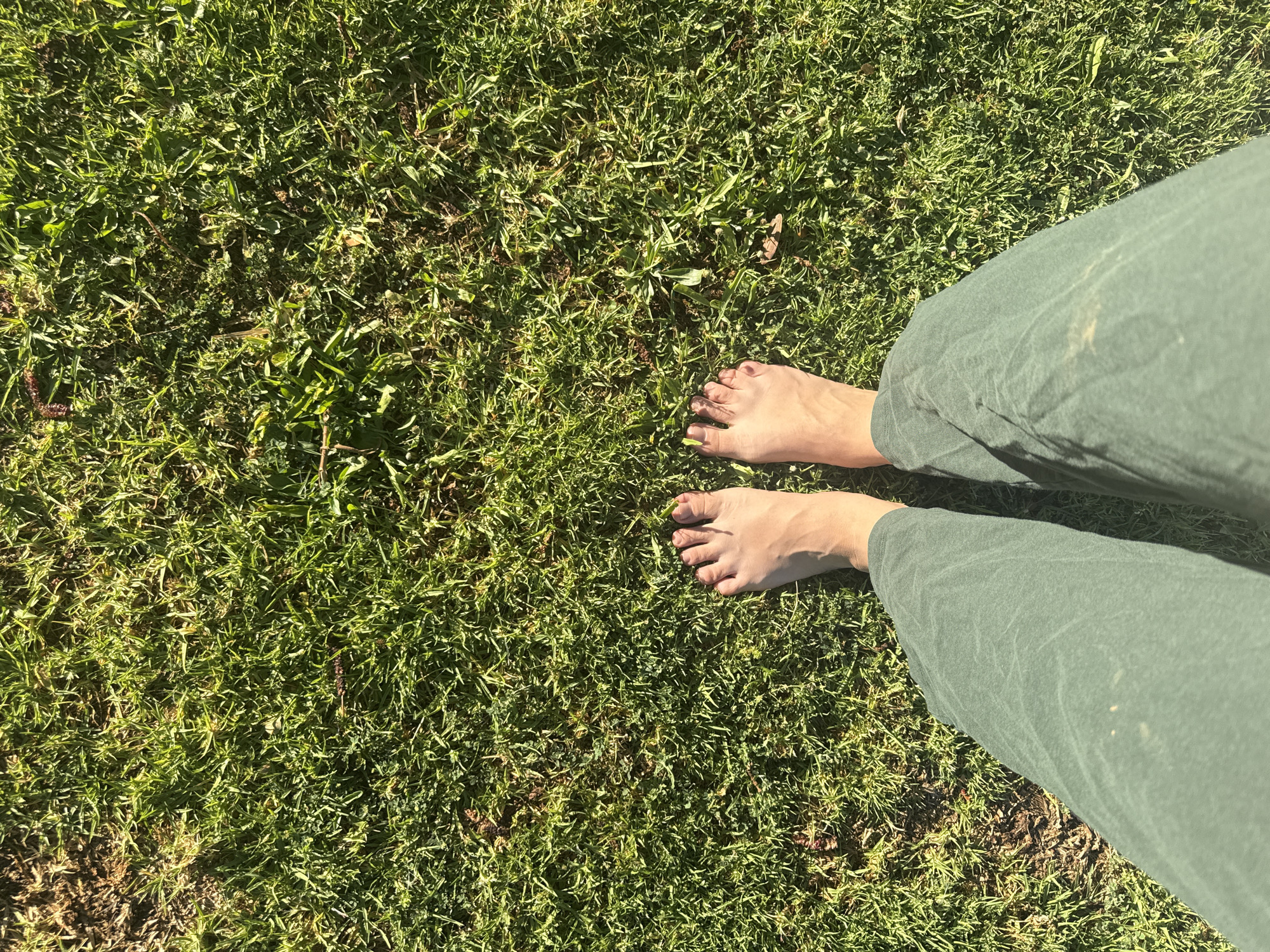 A top-down shot features a person standing barefoot on green grass. The person is wearing green pants. The setting appears to be outdoors, with bright natural light. The grass covers most of the frame. There is no information in the image to indicate the location in the city of Tel-Aviv, Israel.