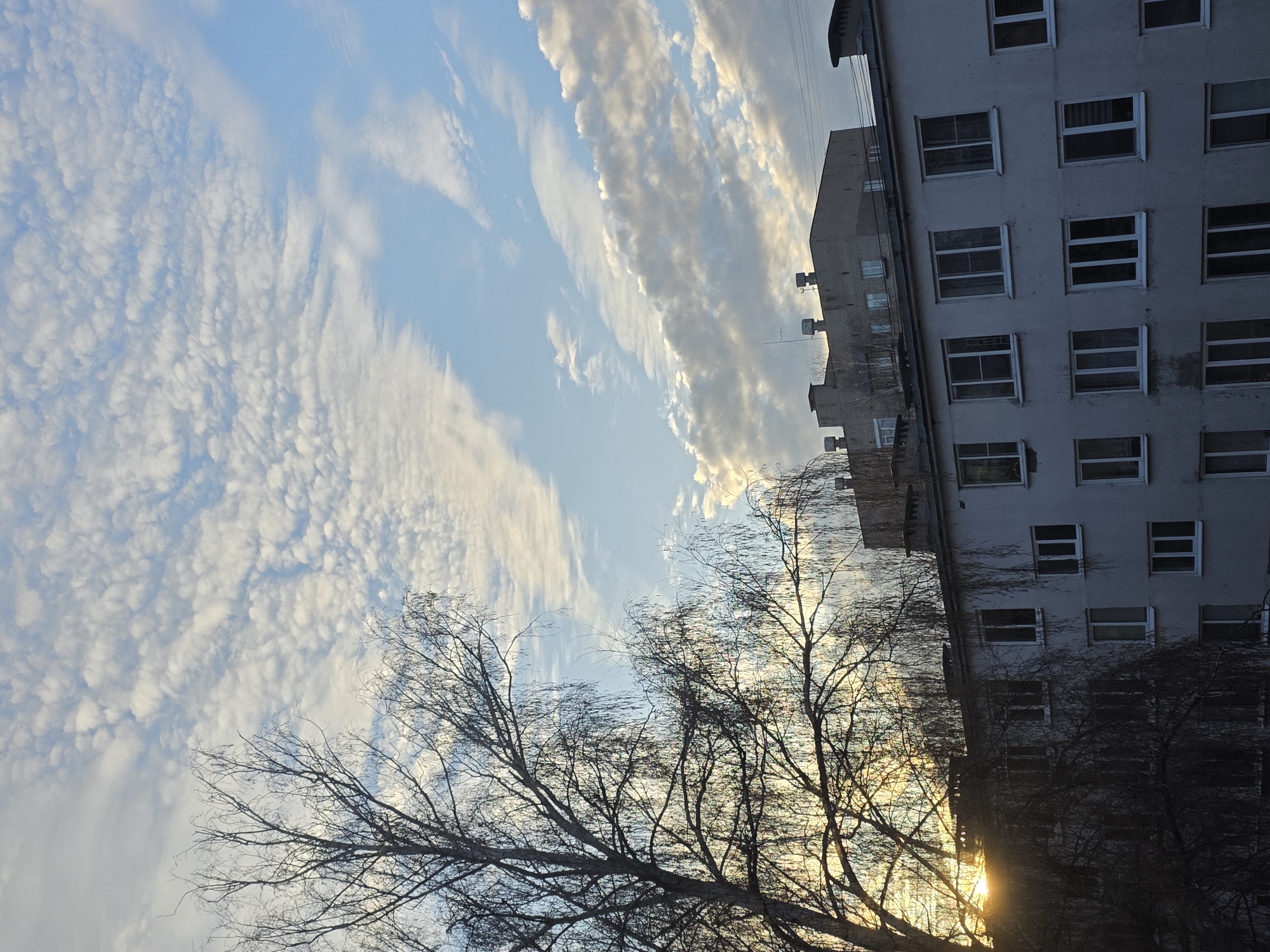 The image shows a view in Chaikovsky, Russia, angled upwards towards a sky with various types of clouds. On the right, there is a grey, multi-story building with multiple windows. To the left and below, the bare branches of a tree are visible, with sunlight filtering through them. The sky features a mix of altocumulus and cirrus clouds. The overall light suggests either early morning or late afternoon.