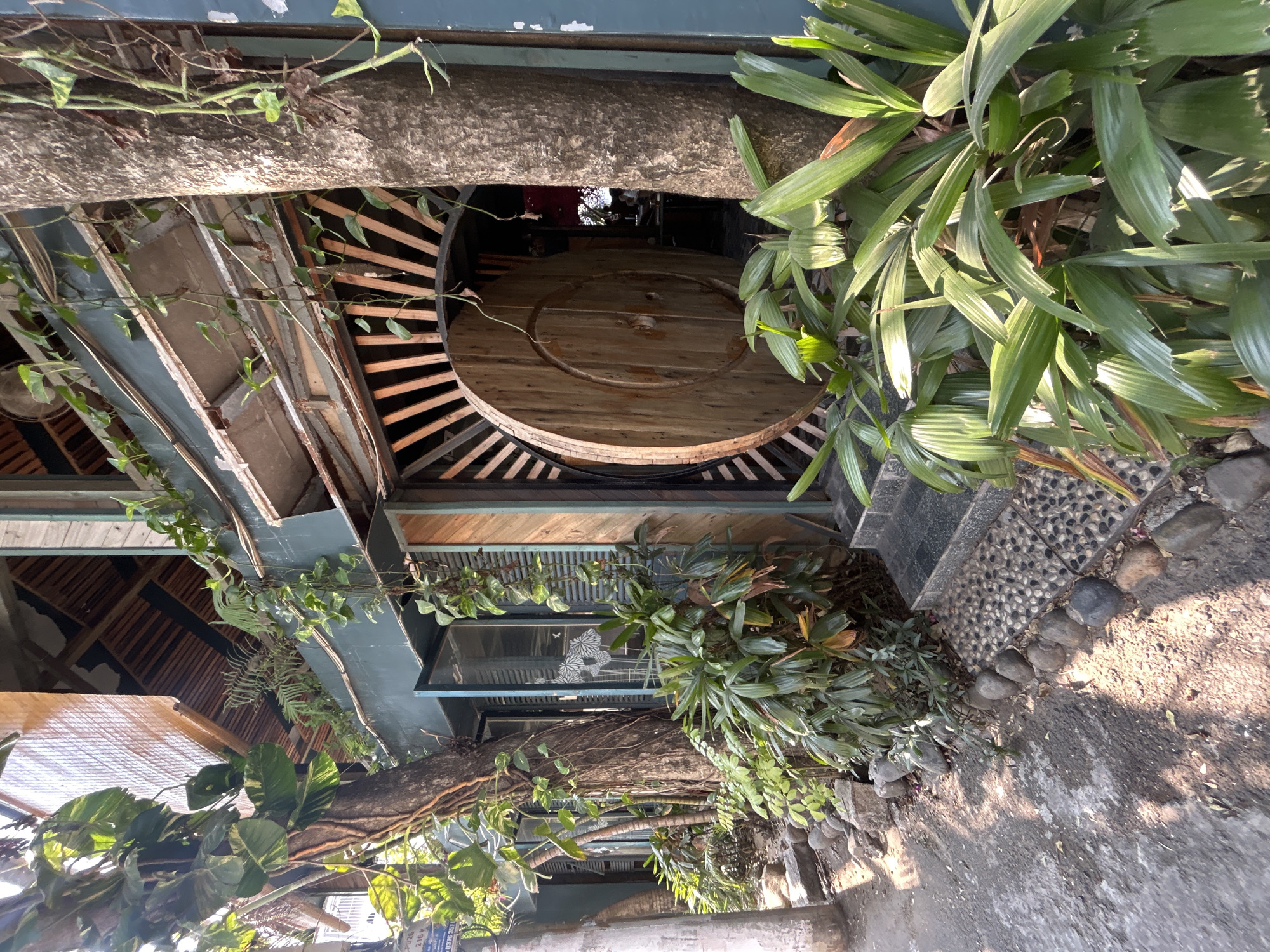 The image shows an outdoor scene in what appears to be a restaurant or cafe, possibly in Bắc Nha Trang, Vietnam. A large tree trunk runs horizontally through the image, serving as a structural element of the building. Lush green plants and vines are growing around and on the tree and building structure. A round wooden table with a central hole is visible within the building, partially obscured by the plants and tree. The building construction incorporates wood and concrete, with a weathered, aged appearance. Steps lead up to the building's entrance. The ground is paved. No people are clearly visible, though dim figures are seen far in the background beyond the table. The light suggests a sunny day.