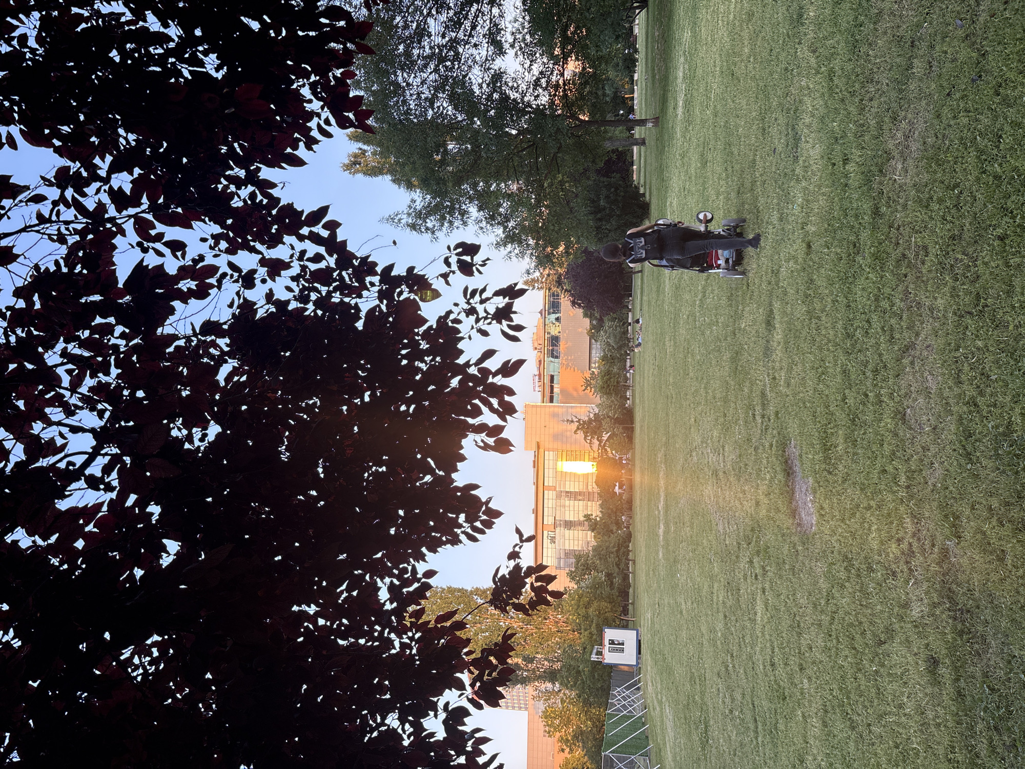 A person is pushing a stroller across a grassy park in Sofia, Bulgaria. The sun is low in the sky, casting a warm glow on the scene. Trees and buildings are visible in the background. The person is wearing dark clothing and has a backpack. The stroller appears to be red and black. In the foreground, the leaves of a dark-leaved tree obscure part of the sky. A small white building with a blue trim is located on the left side of the park, near a fence. Several other people are scattered in the distance, some sitting on the grass. The grass itself is well-maintained, with a few patches of dry earth.