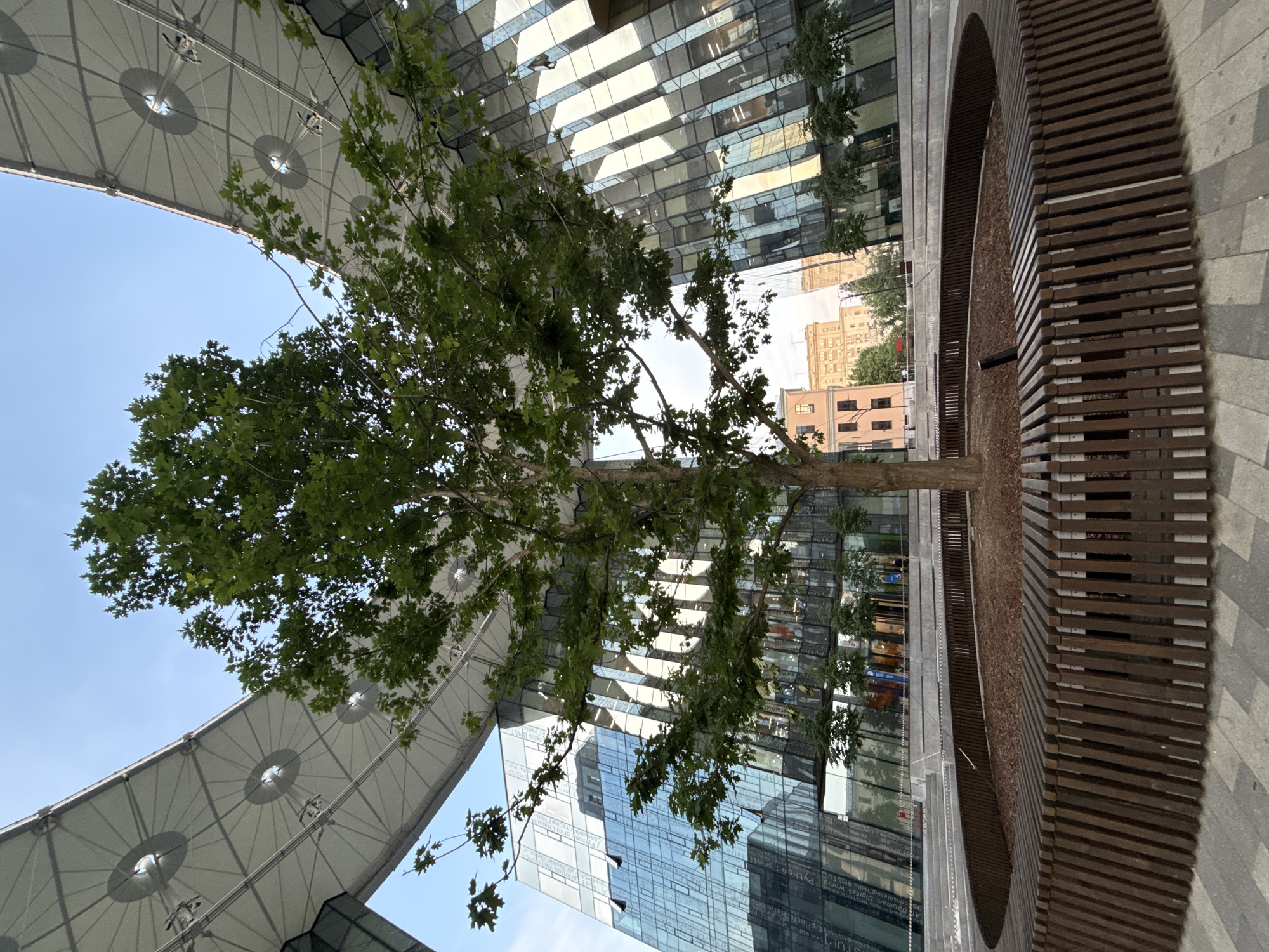 The image shows the "Domodedovo" business complex, located at 1, Vavilova Street, Moscow, Russia. The complex features a central courtyard with a large tree surrounded by a circular wooden bench. The courtyard is enclosed by modern glass buildings with distinctive architectural elements, including large, angled glass facades and an overhead canopy structure. The sky is clear and blue. In the background, older residential buildings can be seen. The scene is clean and well-maintained, suggesting a contemporary urban environment. No people are visible in the immediate foreground.