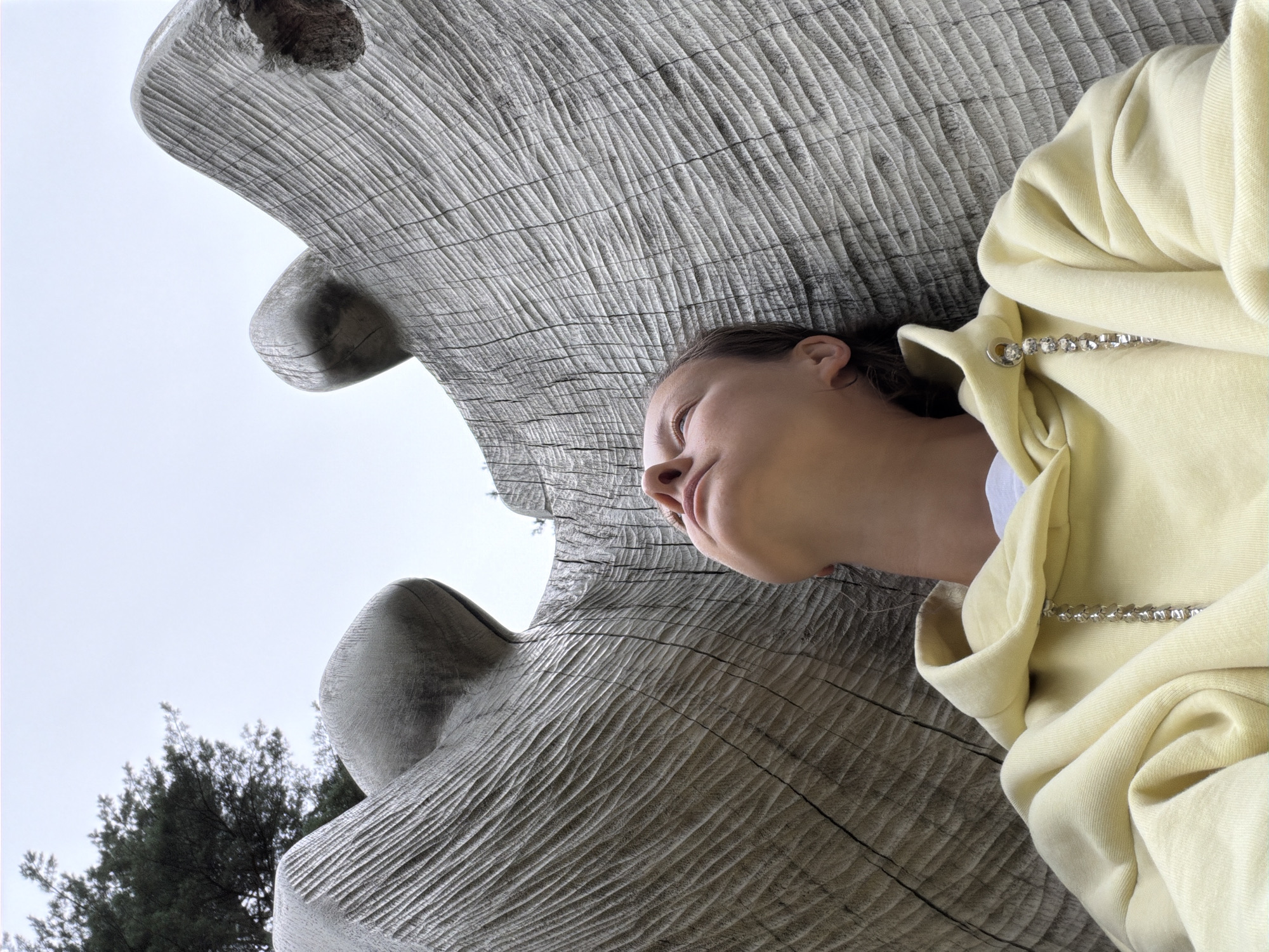 A young woman, wearing a pale yellow hoodie with a silver chain detail, is lying down outdoors, looking up at the sky. She is nestled between two large, weathered wooden structures that resemble abstract sculptures or natural formations. The wood is heavily textured with deep, parallel grooves. A portion of a pine tree and a pale, overcast sky are visible in the background. The location is not specified as being in Riga, Latvia.