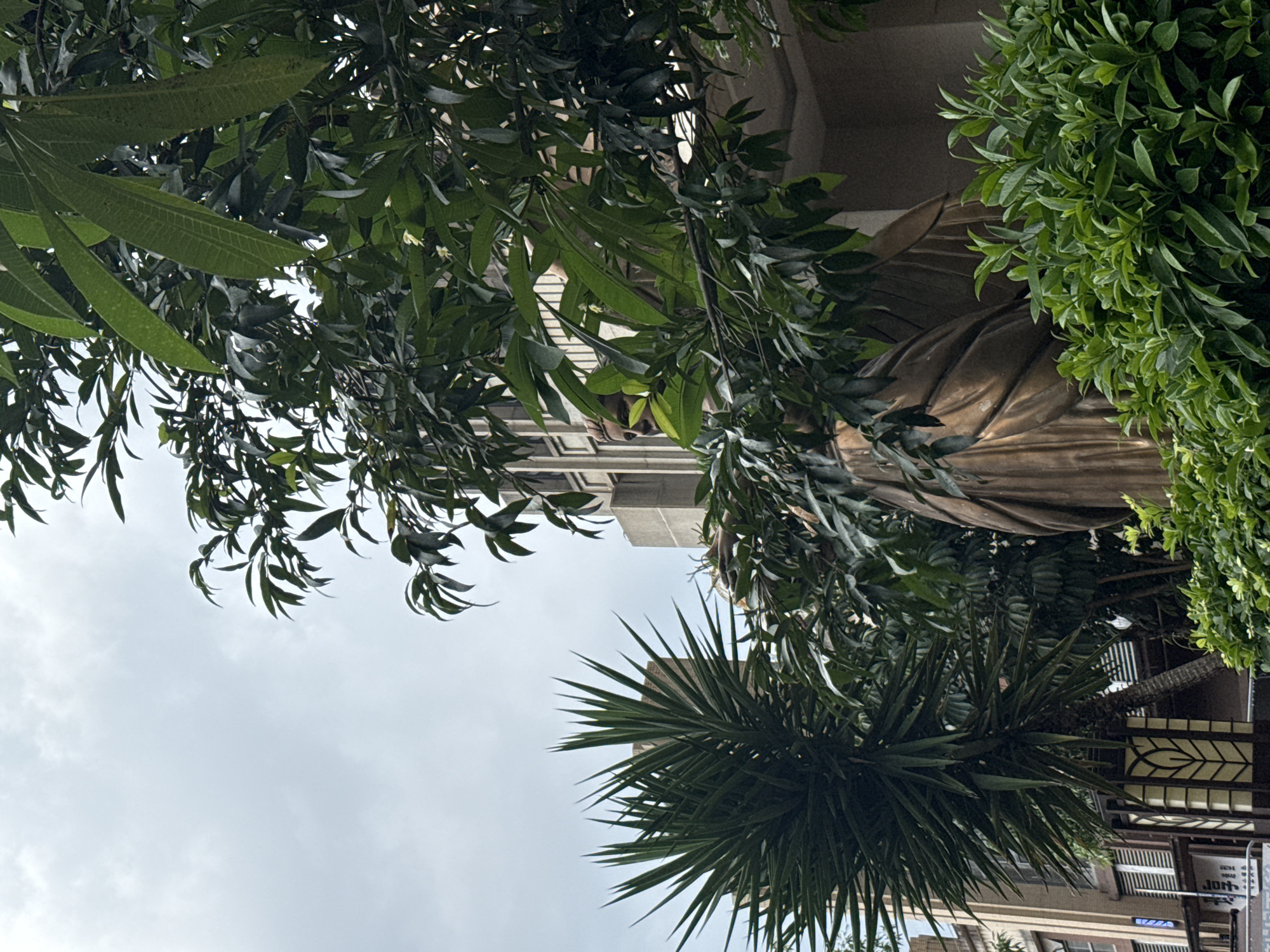 The image shows a bronze statue, partially obscured by lush green foliage and trees. The statue appears to be of a person with draped clothing, and its head is visible on the left side, facing towards the left. In the background, a modern building with geometric architectural features and some windows is visible. To the left of the statue, a spiky, yucca-like plant stands prominently. The sky is overcast with light clouds. This scene is located outside a building in Huizhou, China, likely in a public space or garden.