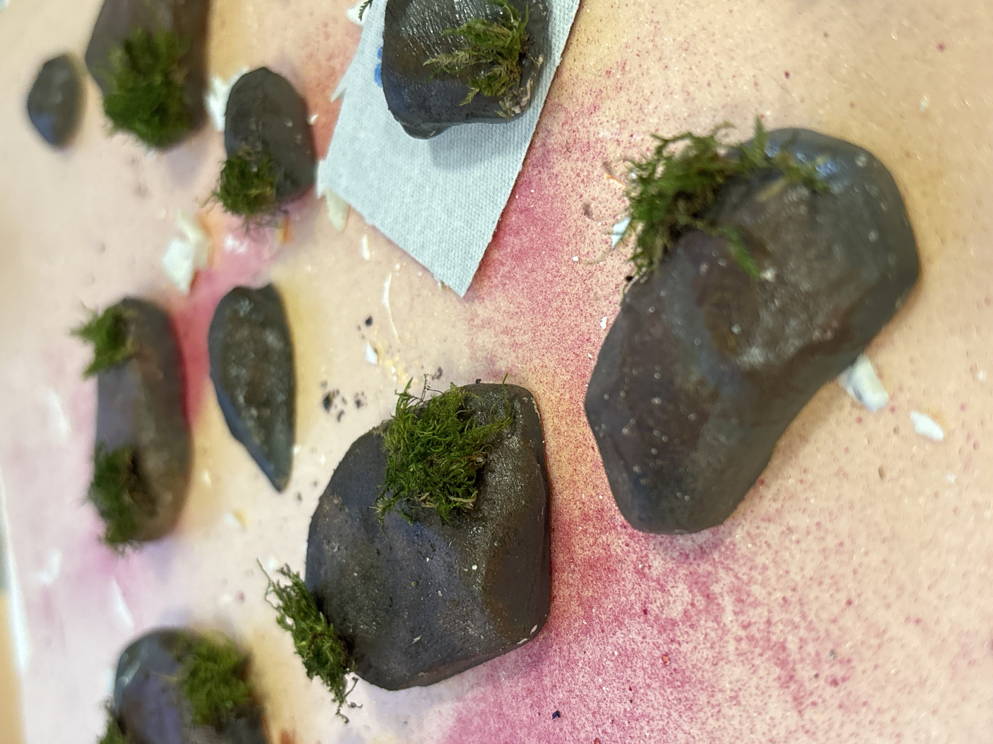 The image shows several dark grey stones covered with patches of green moss arranged on a surface with a mottled pink and peach color. One stone rests on a light grey square of tissue paper. Specks of white and dark grey material are scattered around the stones. The scene is indoors under ambient lighting. There is no indication of the image being related to the city of Perm, Russia.
