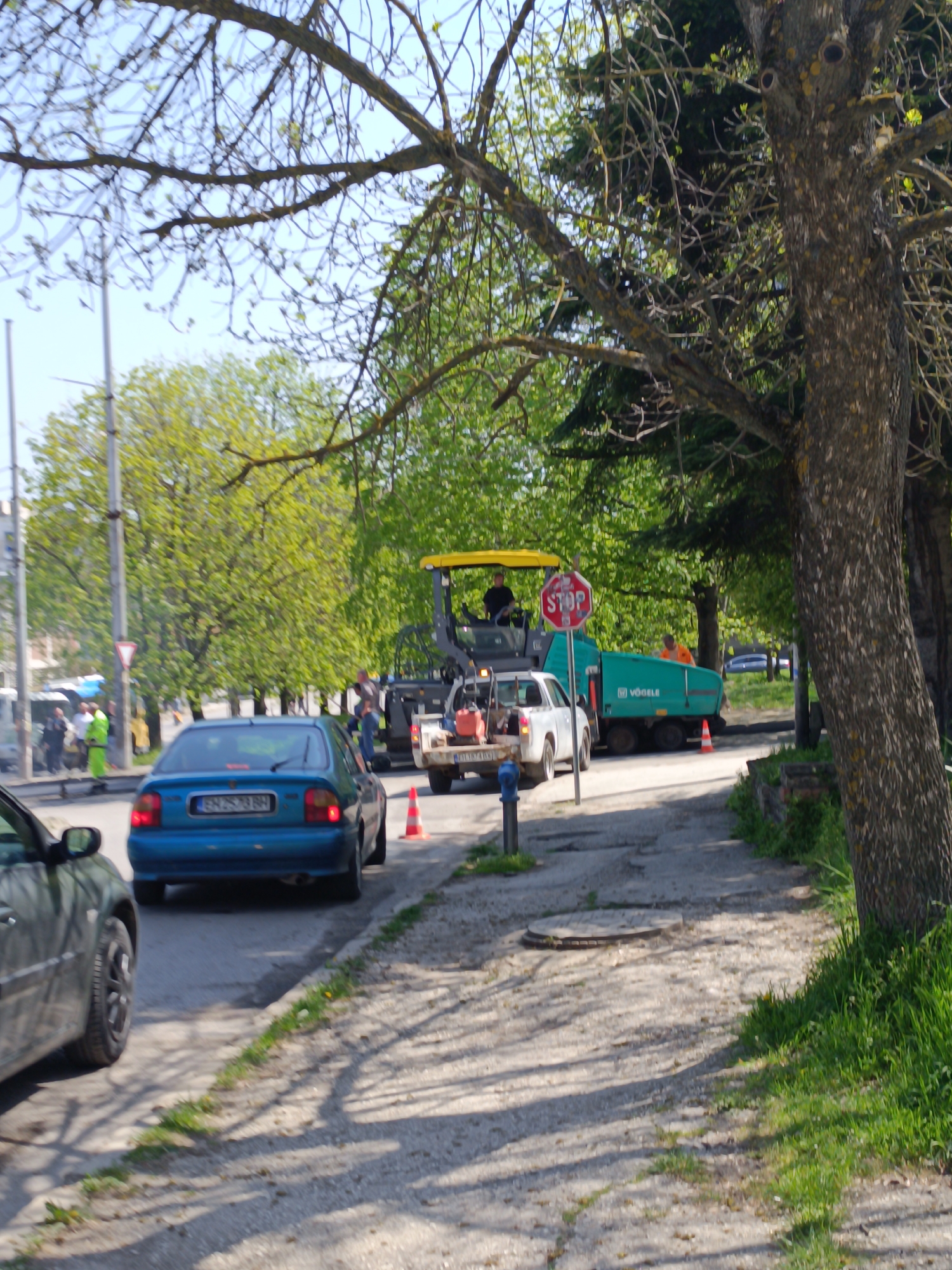 The image depicts an outdoor daytime scene in Pleven, Bulgaria, featuring ongoing road construction. A large, yellow and green road paving machine, branded "VÖGELE," is the central object on the right side of the road, suggesting active roadwork. A red "STOP" sign is prominently displayed in front of the paving machine, likely directing traffic.
Several individuals are present, primarily appearing to be construction workers; one is operating the paving machine, and another in an orange shirt is near its rear. Other workers in high-visibility vests are visible further down the street on the left.
Traffic is affected by the construction. A blue sedan with a Bulgarian license plate "BH 2523 BH" is positioned in the foreground, indicating vehicles are waiting or slowing down. Another dark-colored car is partially visible in the immediate foreground on the left. A white pickup truck is parked near the paving equipment, likely part of the construction crew. Orange traffic cones are placed on the ground, marking the work area.
The setting is an urban or suburban street lined with mature trees, some with bare branches and others showing fresh green spring foliage. Bright sunlight casts long shadows across the concrete sidewalk and the road, indicating clear weather. The ground adjacent to the sidewalk is covered in green grass. A manhole cover is visible on the sidewalk, along with a blue post that resembles a small hydrant or utility marker.