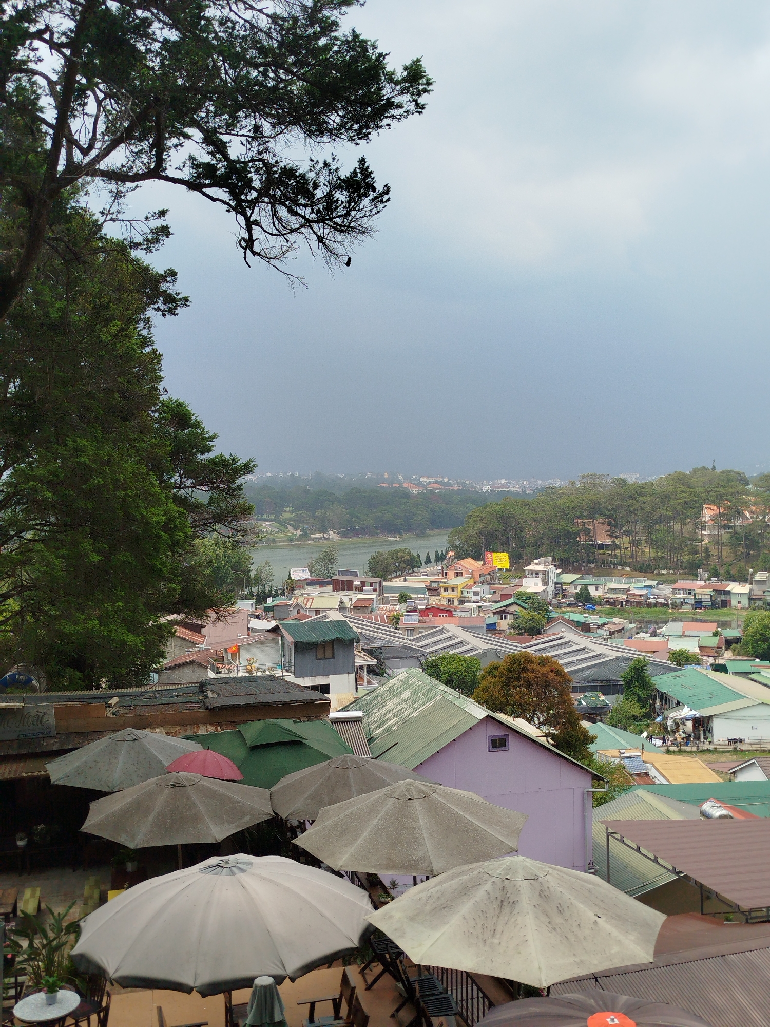 The photograph depicts an elevated view of Da Lat, Vietnam, on an overcast day. In the foreground, several umbrellas of varying colors (grey, red, and green) cover what appears to be an outdoor seating area. Tables and chairs are visible beneath the umbrellas. Buildings with diverse roof colors (green, brown, and corrugated metal) dominate the middle ground, with a single lavender-colored building among them. In the background, a lake is visible, bordered by trees and additional buildings. In the distance, the city extends into the mist-obscured horizon, with trees interspersed among the built structures. Tree branches overhang the scene on the upper left of the frame.