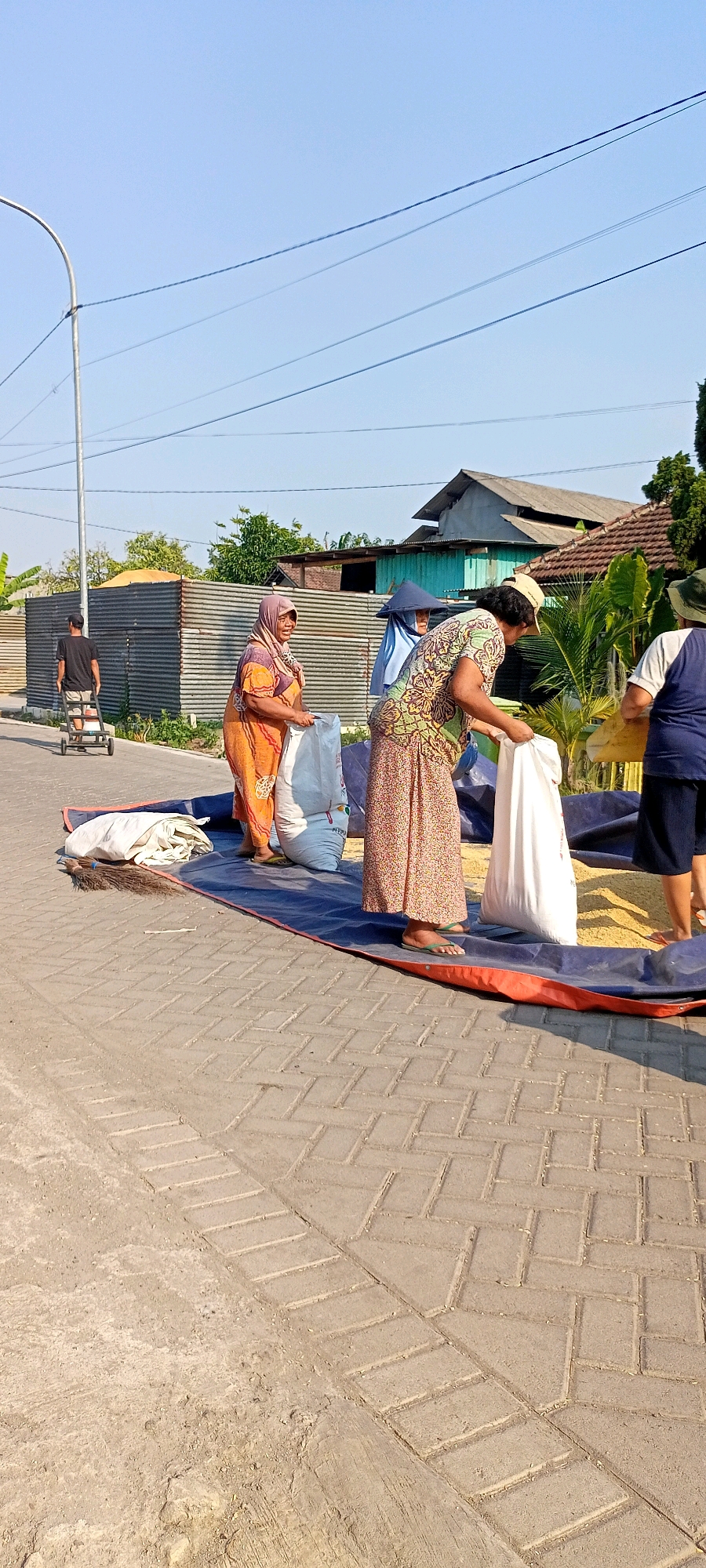 In Gempolklutuk, Indonesia, on a sunny day, several women are engaged in the activity of bagging grain, likely corn, on a blue tarp spread over a paved street. The tarp is also lined with an orange border. The women are wearing traditional clothing, including headscarves and long skirts. One woman, in the foreground, wears a colorful patterned dress and holds a large white sack. Another woman to her left is dressed in an orange and patterned outfit and is also handling a white sack. A third woman, in the background, is partially visible, wearing a blue head covering and a light-colored patterned dress. A fourth person, possibly a man, is pushing a small cart in the distance, wearing a black t-shirt and shorts. Scattered on the paved ground are individual grains of corn. Beyond the immediate scene, there are corrugated metal structures, some with visible doors and windows, and residential buildings with tiled roofs. Green foliage and trees are also present. Power lines and a street light are visible in the sky. The overall environment suggests a rural or semi-urban setting within the specified location in Indonesia.