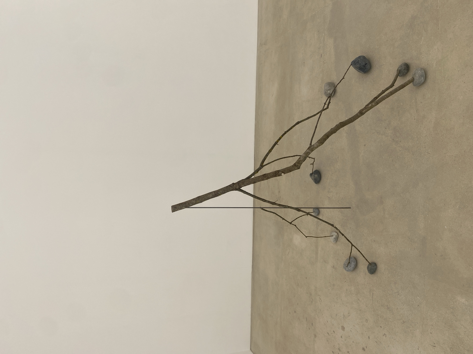 This media file captures a minimalist art installation, oriented vertically.
**Subjects**: The central subject is a bare, dried tree branch extending diagonally from the top-left towards the bottom-right of the frame. From this main branch, thinner twigs sprout, and attached to the ends of several of these twigs are small, smooth, grey stones or pebbles, varying slightly in shape and shade. A thin, dark, vertical metal rod supports the main branch, extending from its underside near the upper-left part of the branch downwards.
**Scene/Setting**: The background is divided vertically into two distinct sections by a sharp, straight line. The left section is a plain, smooth, light beige or off-white surface, resembling a clean wall. The right section is a textured, matte, sandy-brown or light concrete-colored surface, which also appears to be a wall, displaying subtle imperfections and marks. The installation is brightly and evenly lit, suggesting an indoor exhibition or gallery setting.
**Activity or event taking place**: The image depicts a static art display. No human activity or movement is taking place.
**Notable details**: The composition highlights the organic form of the branch and the natural texture of the stones against the stark, minimalist background. The stones, seemingly delicate, are carefully balanced on the tips of the twigs, creating a sense of suspension and an intriguing contrast with the sturdy branch. The overall aesthetic is one of quiet contemplation and natural simplicity, enhanced by precise placement and subtle support. No text is visible in the image. While the location context of Paris, France is provided, the image itself offers no specific geographical cues.
