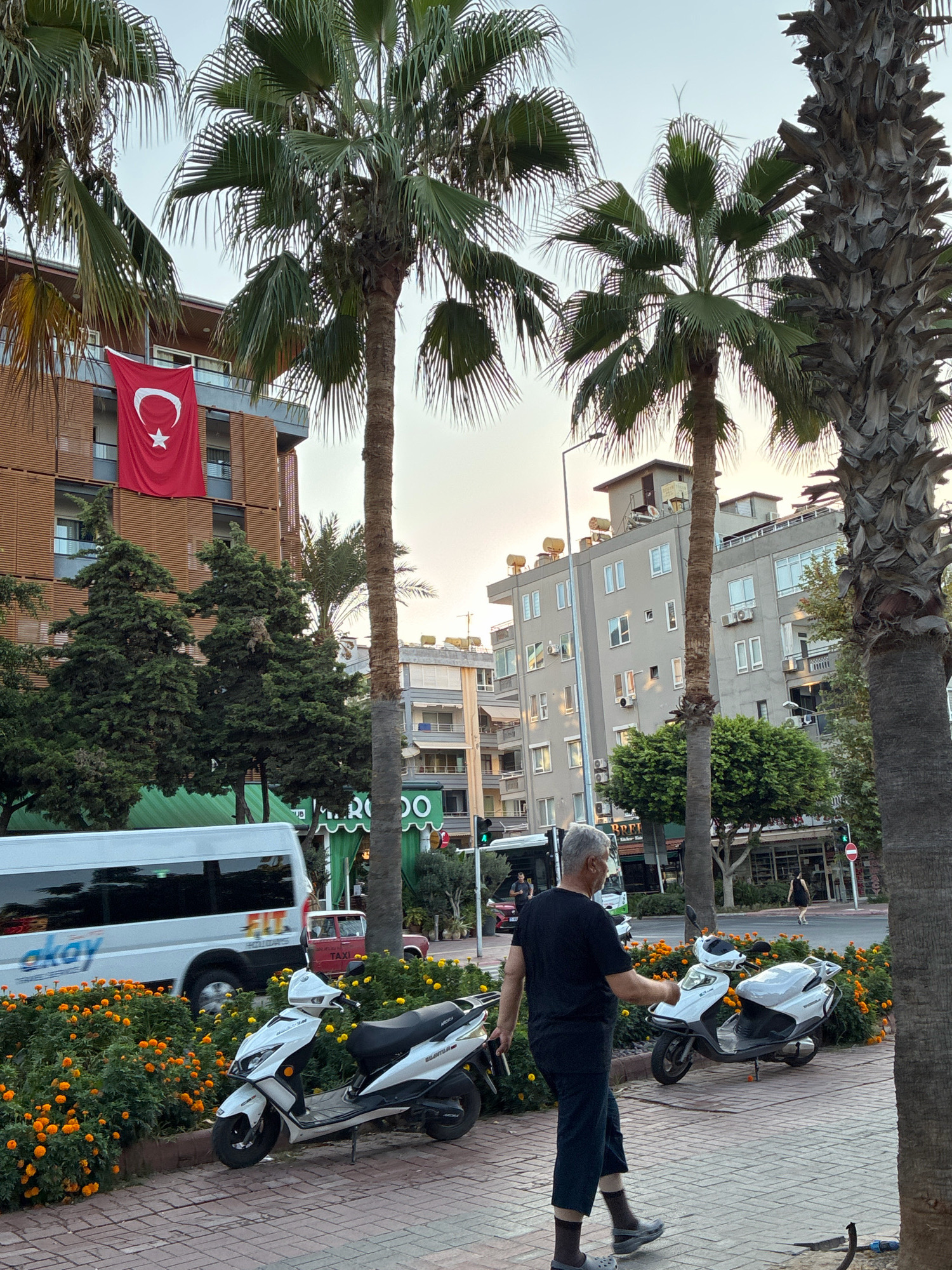 In Alanya, Turkey, a man with gray hair and a dark t-shirt and pants walks on a brick sidewalk near parked white scooters. He is walking away from the camera and appears to be holding a phone in his right hand. The scooters are parked in front of a flower bed filled with orange and yellow flowers. Behind the flowers, a white van with the text "OKAY HOLIDAYS" is visible. In the background, palm trees line the street, and several buildings are present. One building on the left has a Turkish flag displayed on it. The sky is overcast.
