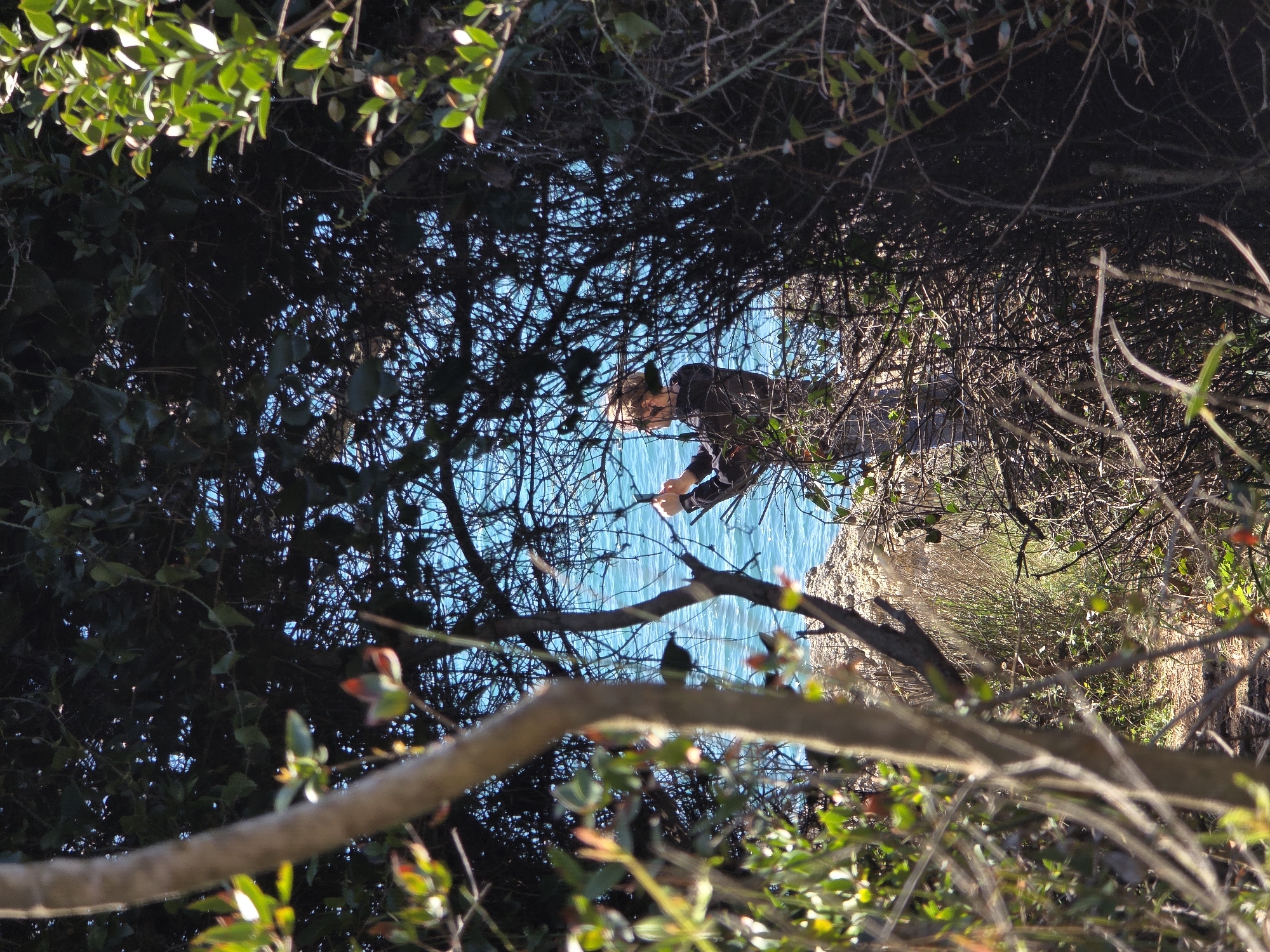 A person is standing near the rocky edge, seen through dense foliage, near the Adriatic Sea in Ulcinj-Ulqin, Montenegro. The person is close to the edge of the cliff and water. The image is shot from a lower angle looking upwards.