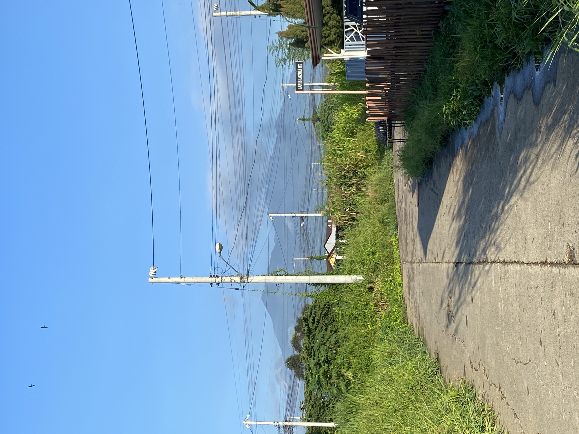 The image shows a paved road curving to the left in a rural or suburban area. Tall green grass lines the side of the road. In the background, there are several utility poles with numerous wires crisscrossing the sky, and a distant mountain range is visible. A street sign reads "LAPIS LAZULI ST." A wooden fence runs along the right side of the road. Two birds are silhouetted against the blue sky in the upper left portion of the image. The scene appears to be a quiet, residential street.