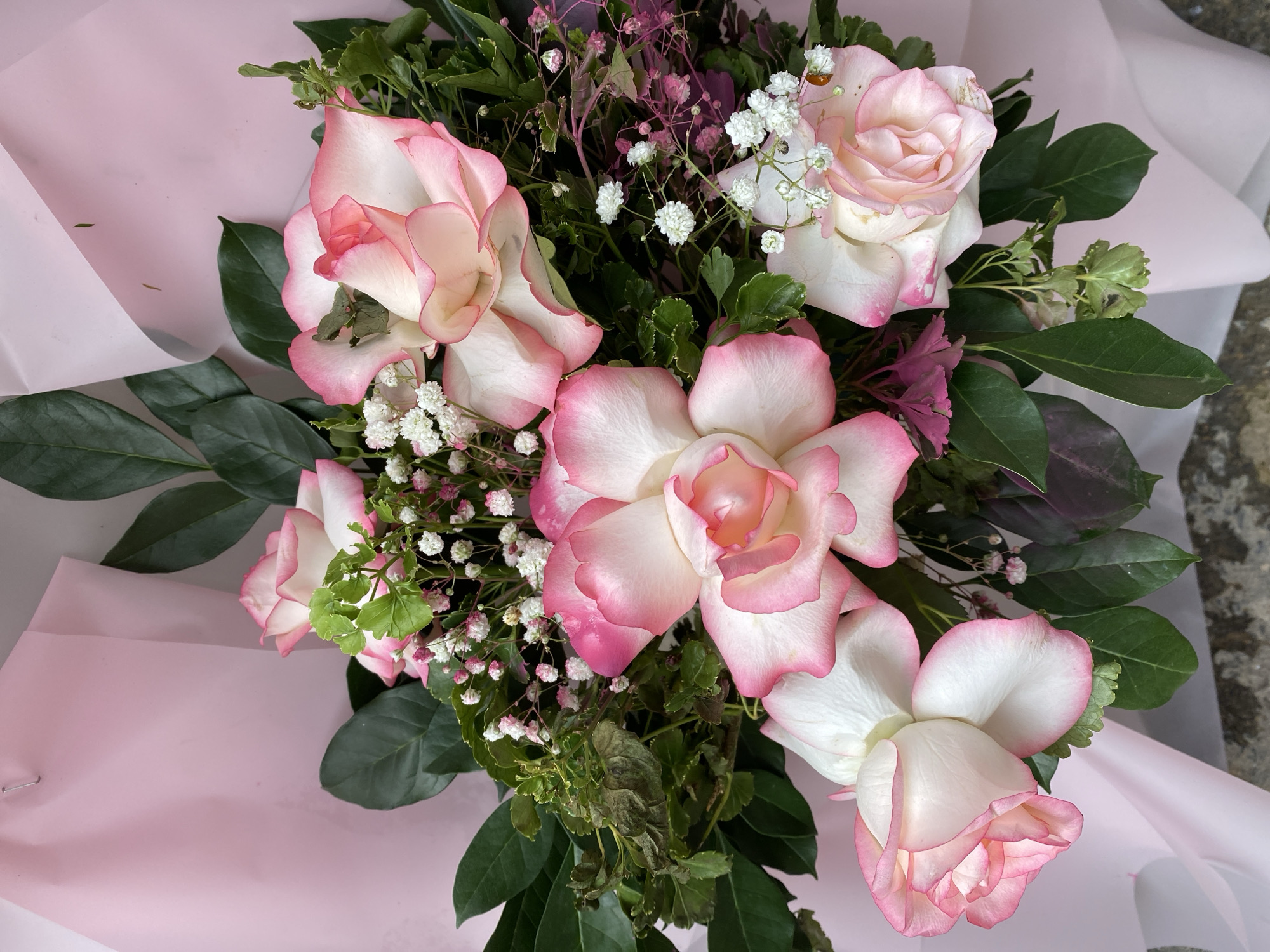 A close-up, top-down shot captures a bouquet of pink and white roses with delicate baby's breath and dark green foliage, presented against a soft pink paper backdrop. The bouquet is arranged in a slightly haphazard, yet elegant, manner. The roses exhibit a gradient of color, with white petals edged in vibrant pink, and their blooms range from tightly furled to partially open. Interspersed among the roses are clusters of tiny white and pink flowers, adding a touch of lightness and detail. The dark green leaves provide a lush contrast, with some showing signs of wilting. The overall impression is one of natural beauty and floral artistry. The image does not depict any specific landmarks or recognizable features of Đà Nẵng, Vietnam, making it impossible to pinpoint a precise location within the city.