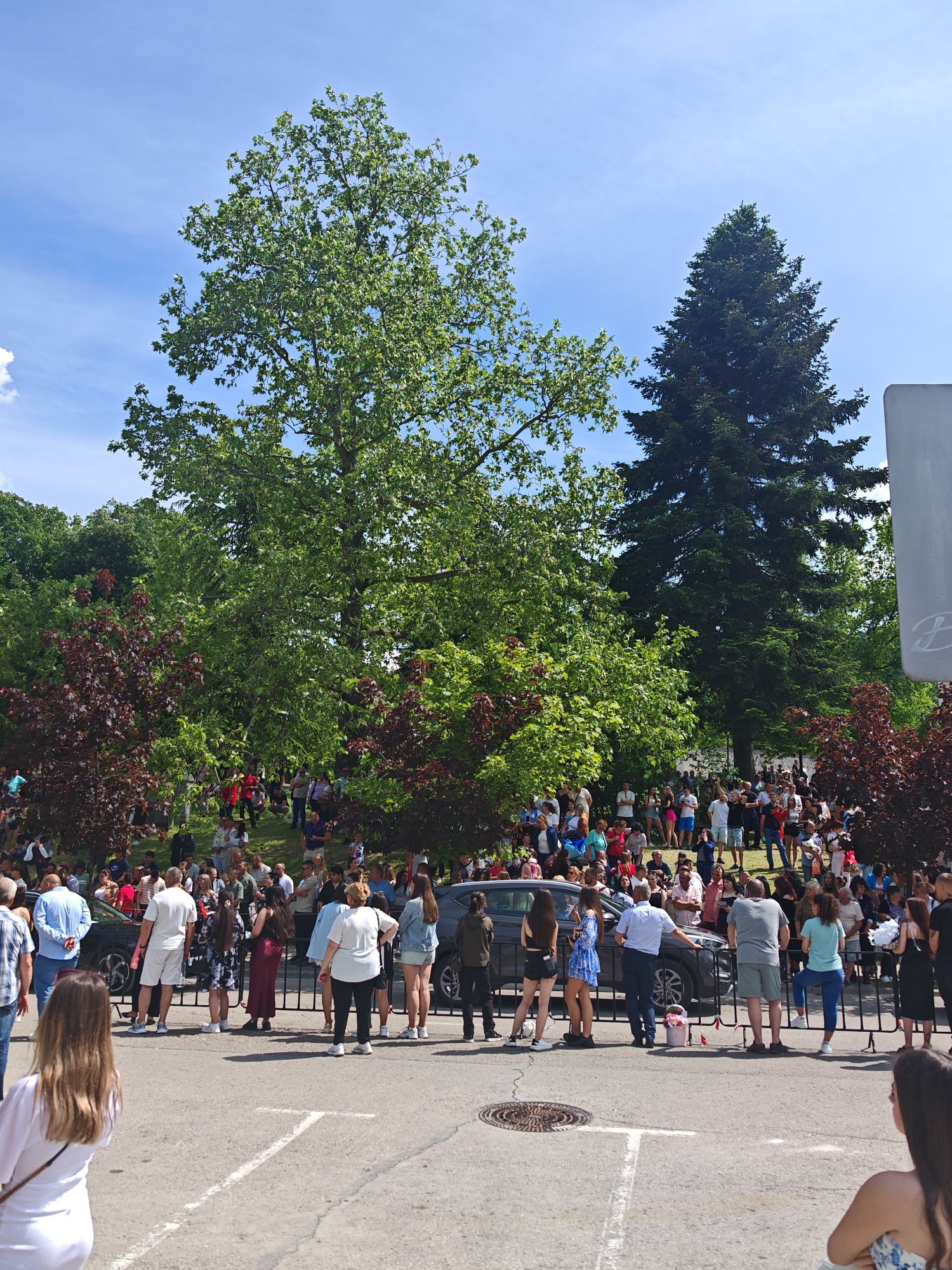 The image shows a crowd of people gathered behind a black metal fence on an asphalt surface with painted white lines. Behind the fence, there's a dark gray car parked. Beyond the car, the crowd extends up a grassy slope dotted with trees, including a large deciduous tree and a tall evergreen. Red-leaved trees are also visible amidst the greenery. Most people are standing, though some appear to be sitting on the grass. The sky is blue with some clouds.
The location is Shumen, Bulgaria.