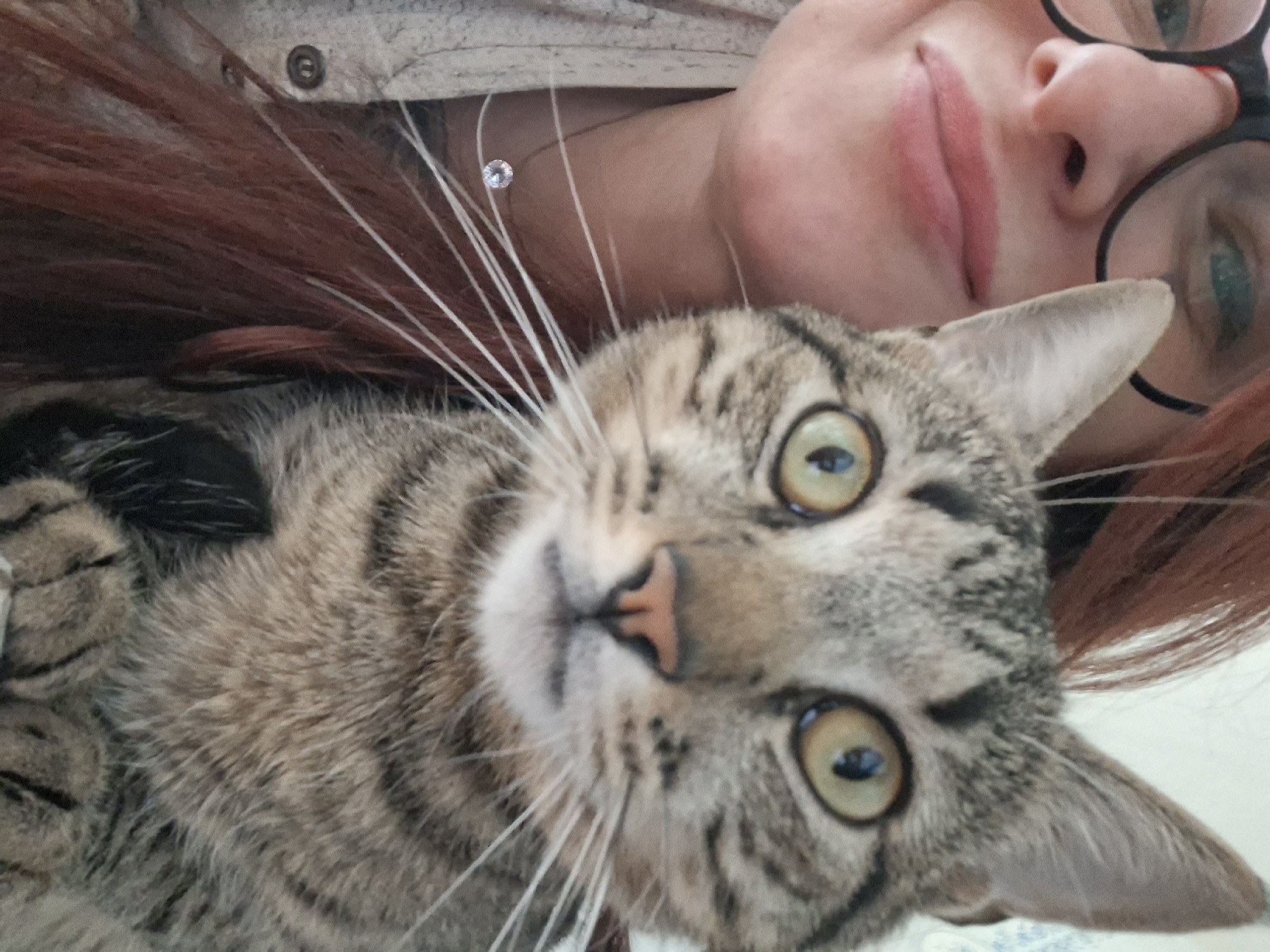 A close-up, selfie-style photograph shows a woman with reddish-brown hair and glasses holding a tabby cat. The woman's face is partially visible on the left, with her mouth slightly open and her eyes looking towards the camera. She is wearing glasses with black frames and a subtle necklace with a single clear stone. The cat, positioned in the center and right of the frame, is looking directly at the camera with large, expressive green eyes. Its tabby markings are prominent on its face and fur. The background is blurred and appears to be an indoor setting, likely a home, as suggested by the soft lighting and indistinct wall texture. The photograph does not provide any information about the specific location within Забалоцкі сельскі Савет, Belarus.