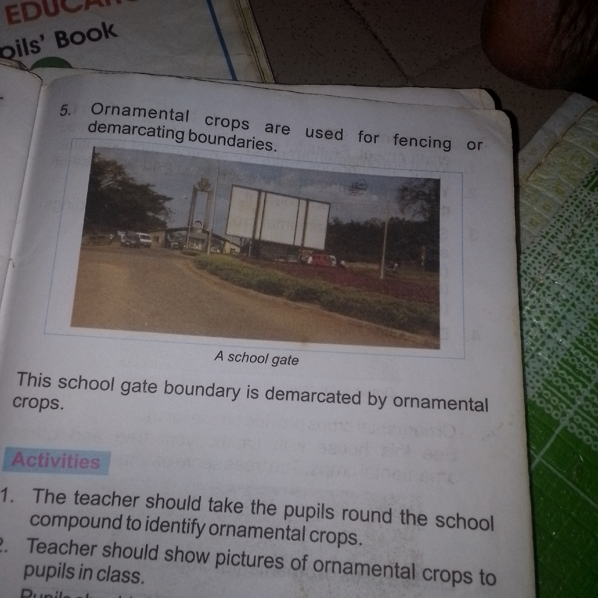 The image shows a page from a book with text and a photograph. The text discusses ornamental crops used for fencing or demarcating boundaries, and a school gate boundary demarcated by ornamental crops. It also lists activities for teachers and pupils related to identifying and depicting ornamental crops. The photograph depicts a school gate with a road leading to it, flanked by vegetation. There are also some vehicles visible, including what appears to be a white van and a red car. The scene appears to be outdoors, with trees and buildings in the background. The question asks for a description of the image including the location in Jalingo, Nigeria, but there is no information in the image to suggest this location.