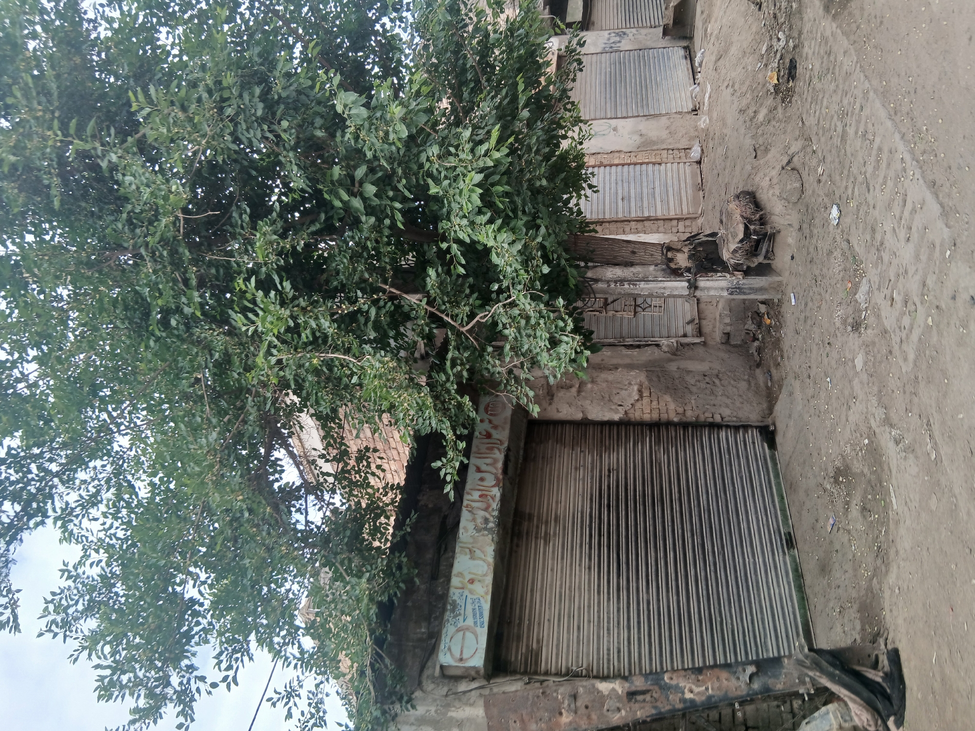 The image depicts a static outdoor scene in an aged, urban or semi-urban environment, consistent with Quetta City Tehsil, Pakistan. A large, mature tree with dense green foliage dominates the left side of the frame, its branches extending across much of the upper section and partially obscuring the sky. The tree's trunk and lower branches are integrated with dilapidated buildings that feature corrugated metal roll-down shutters, suggesting closed shops or storage units.
The ground is unpaved and dusty, with scattered debris and litter, indicating a lack of regular upkeep. Exposed wiring and cables are visible near the structures. In the upper right, near the base of the tree, a pile of what appears to be discarded fabric or debris is present.
No human activity is visible; the scene is quiet, possibly depicting a time when shops are closed. The lighting suggests it is daytime, with diffused light filtering through the tree canopy, perhaps on an overcast day.
A notable detail is a vertical beam or pillar adjacent to one of the shops. It bears painted text in what appears to be Urdu/Arabic script, with parts of the word "سلطان" (Sultan) being legible. Below this, a symbol resembling a crescent moon and star, a common emblem in Islamic culture and on the Pakistani flag, is clearly visible. Further text, possibly including English words like "COMMERCE," and more Urdu/Arabic script, can be discerned beneath the crescent. Faint markings resembling graffiti are also visible on the wall above the lowest shutter. The overall impression conveyed is that of a quiet, somewhat neglected, yet authentic urban landscape.