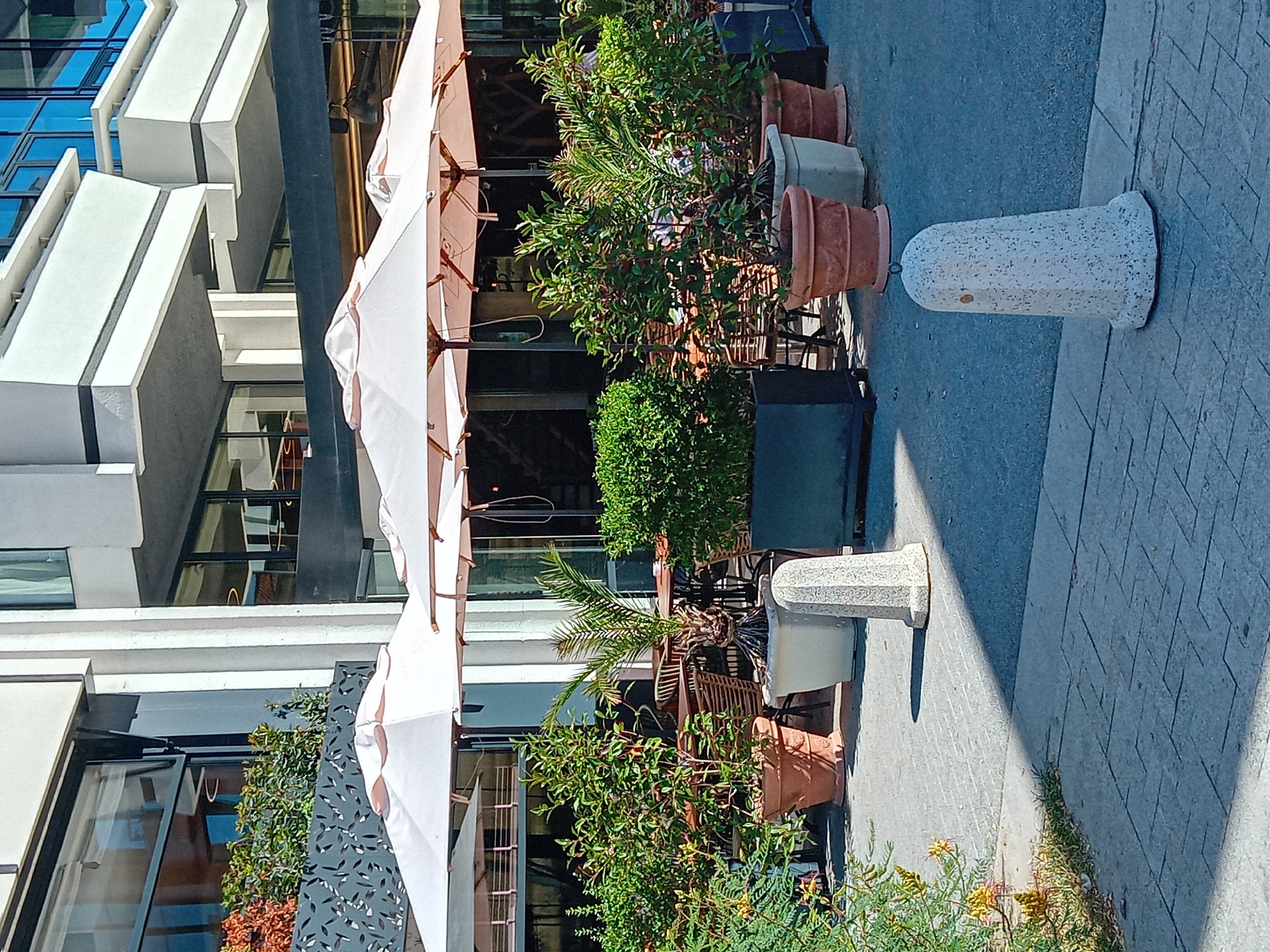 The image shows an outdoor seating area of a restaurant in Varna, Bulgaria. Several large, light-colored umbrellas are open over tables and chairs, providing shade. Planters containing various green plants, including a small palm tree, are arranged in front of the restaurant. The building facade is visible behind the seating area, featuring large windows and modern architecture. Paved walkways and a street are in the foreground, with two decorative concrete bollards present. The scene is well-lit by sunlight, casting shadows.