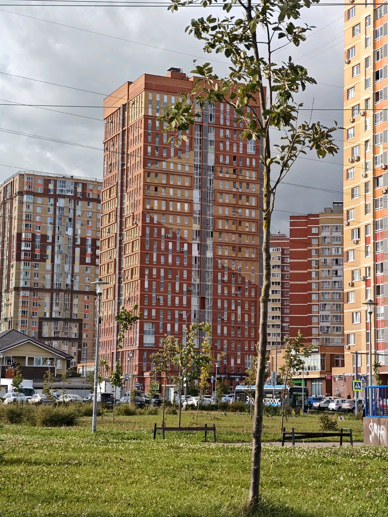 This is a photograph taken in the city of Shcherbinka, Russia. The image features several tall, multi-story residential buildings with a predominantly orange and beige color palette. The buildings have numerous windows and balconies, and air conditioning units are visible on many of them. In the foreground, a grassy area with small white flowers and scattered trees is present. Two dark wooden park benches are situated on the grass. A mature tree with sparse leaves stands prominently in the mid-ground, partially obscuring the view of the buildings. A street with several parked cars, a white truck, and a blue and white bus with Russian text on its side is visible behind the grassy area. A small, light-colored building with a dark roof is located to the left of the main residential structures. Overhead, power lines crisscross the sky, which is overcast with gray clouds. A street lamp is positioned near the center of the image. The scene depicts a residential urban environment on a cloudy day.
