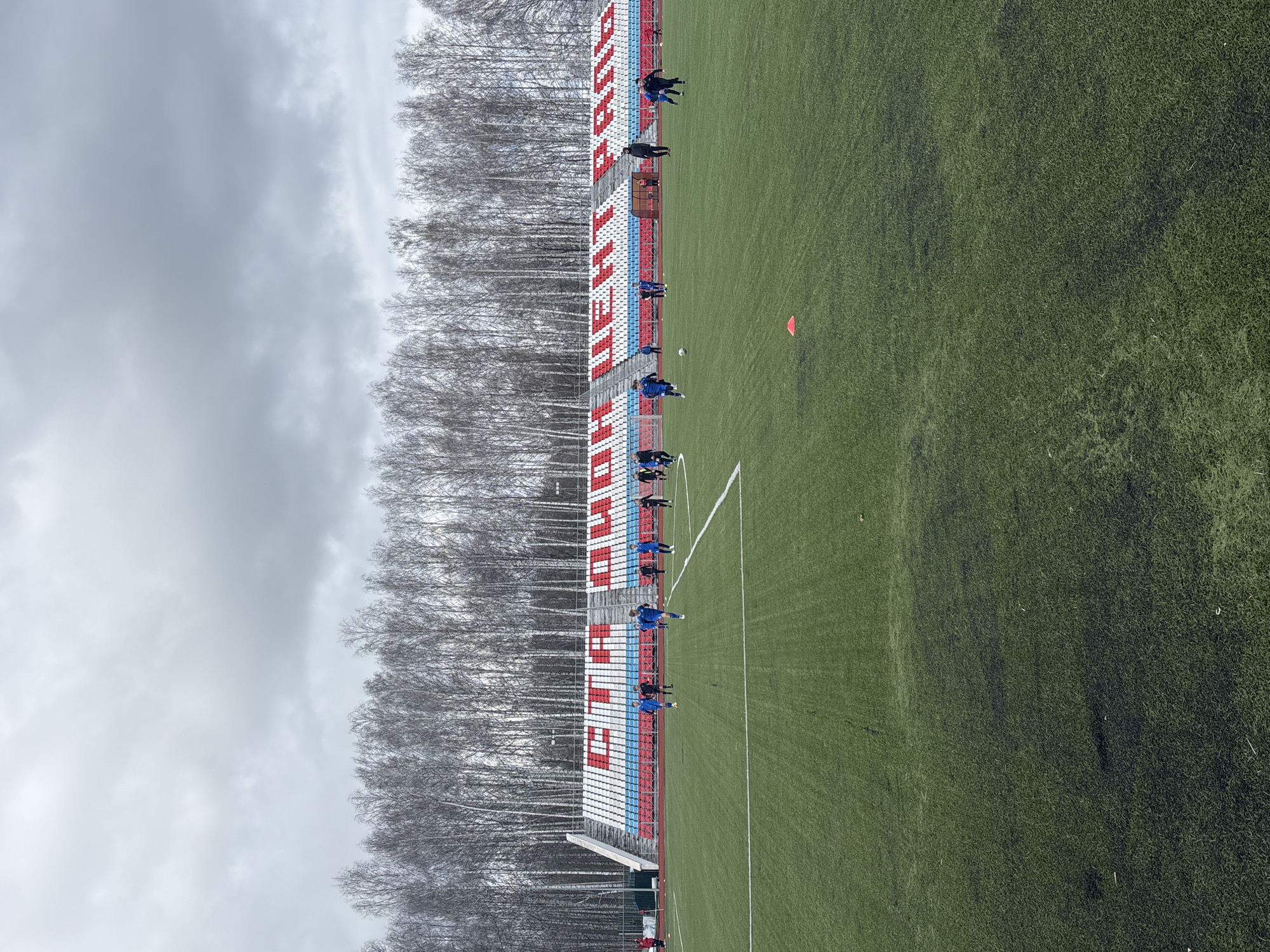 The image shows a soccer field in Chaikovsky, Russia. The field is green with white lines marking the boundaries. A group of people wearing blue jerseys are practicing on the field. Behind the field is a grandstand with seats in the colors of the Russian flag (white, blue, and red), with the word "НЕФТЕХИМИК" (Neftekhimik) in large red letters across the facade. Tall, bare trees stand between the grandstand and a cloudy sky. An orange cone is visible on the field.