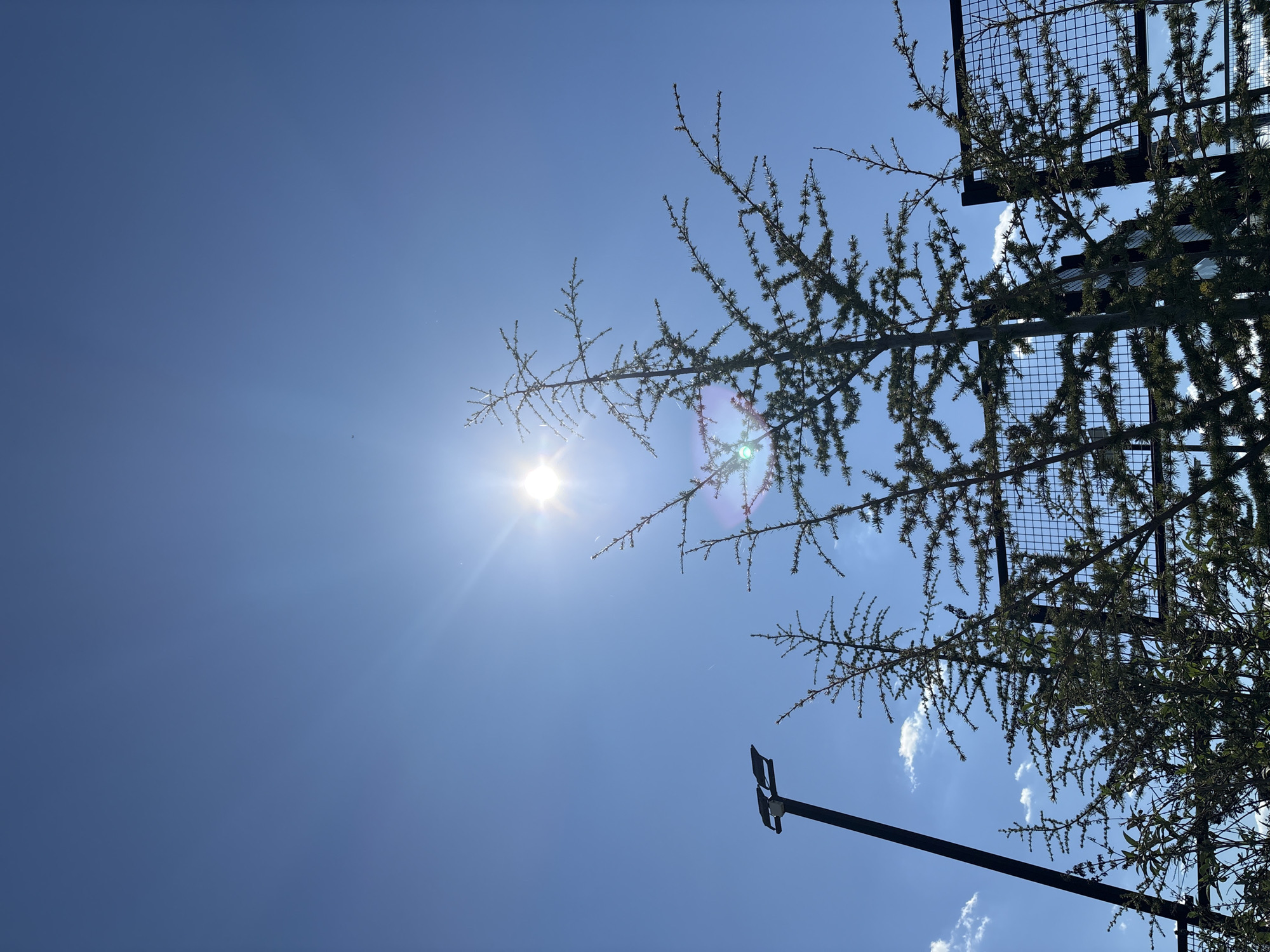 A low-angle, daytime shot reveals a bright sun in a clear blue sky. The sun's rays extend outward, creating a lens flare effect. In the upper right, there is a structure with a wire mesh grid partially obscured by the branches of a tree with sparse green needles. A black lamppost extends upward from the bottom of the frame, stopping short of the tree branches. There are several small, scattered white clouds. The location is in the city of Kazanlak, Bulgaria.