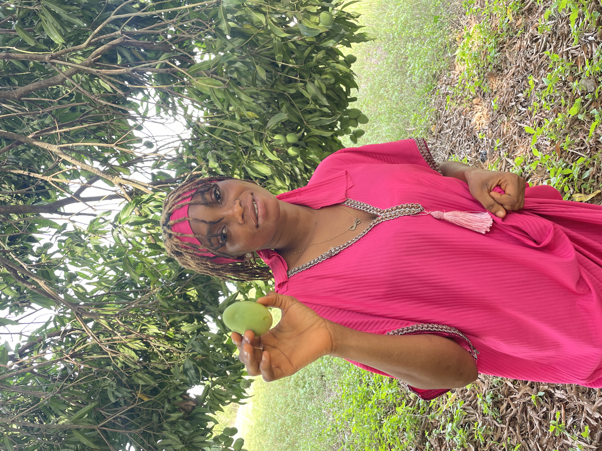 The image displays a woman standing outdoors in what appears to be a mango orchard or garden in Ogbe, Nigeria. She is positioned slightly to the right of the frame, looking directly at the viewer with a pleasant, faint smile.
The woman has dark skin and her hair is styled in dreadlocks or braids, partially covered by a vibrant pink headscarf that complements her attire. She is wearing a flowing, pleated fuchsia-pink garment, possibly a dress or kaftan, which features silver-toned chain-link trim along the V-neckline and sleeve cuffs. A decorative pink tassel hangs from the trim on her left side. Around her neck, she wears a delicate chain necklace with an infinity symbol pendant.
In her right hand, she holds a single, small, unripe green mango. Her left hand is partially clenched and rests at her side.
The background is dominated by a large mango tree (or similar fruit tree) to her left and behind her, laden with numerous unripe green mangoes visible among its dense foliage. The ground is covered with a mix of green grass and scattered dried leaves and twigs, suggesting a natural, uncultivated environment. The bright, even lighting indicates that the photograph was taken during the day, likely under a clear or lightly overcast sky.
There is no visible text in the image.