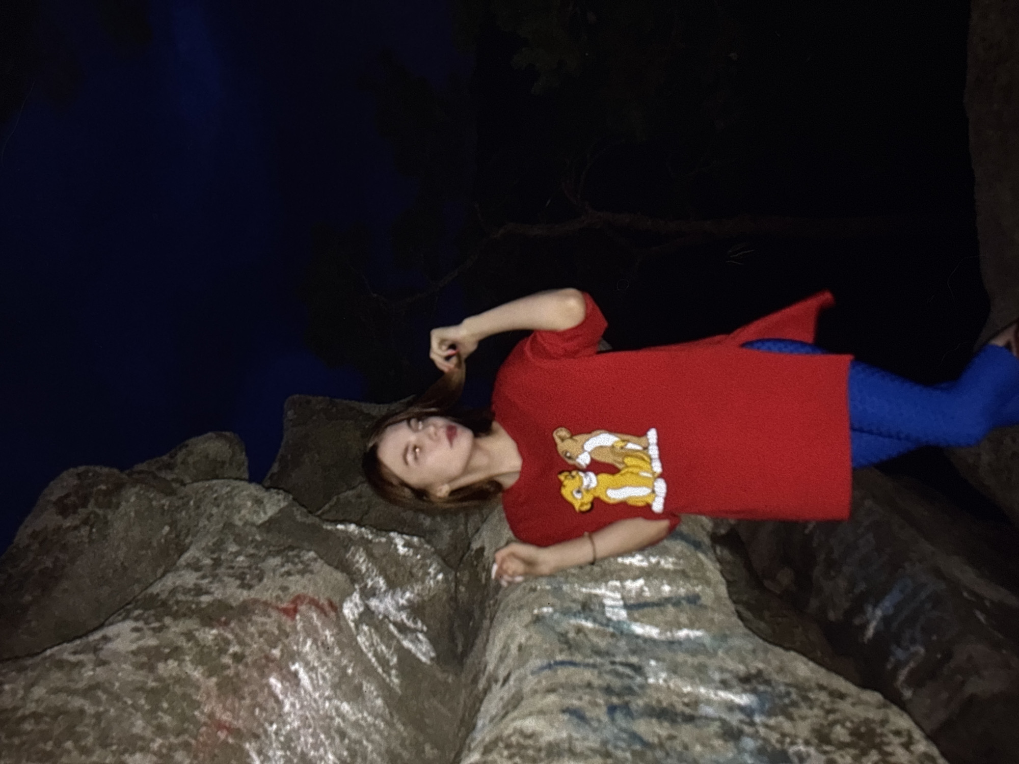 A young woman with brown hair is standing next to a large rock formation in an outdoor setting at night. She is wearing a red t-shirt with an image of two lions on it, and blue pants. The woman is looking to her left and her right hand is in her hair. The rock formation is textured and appears to have some white and red markings on it. In the background, there is dark sky and silhouetted trees. The location is not Omsk, Russia.