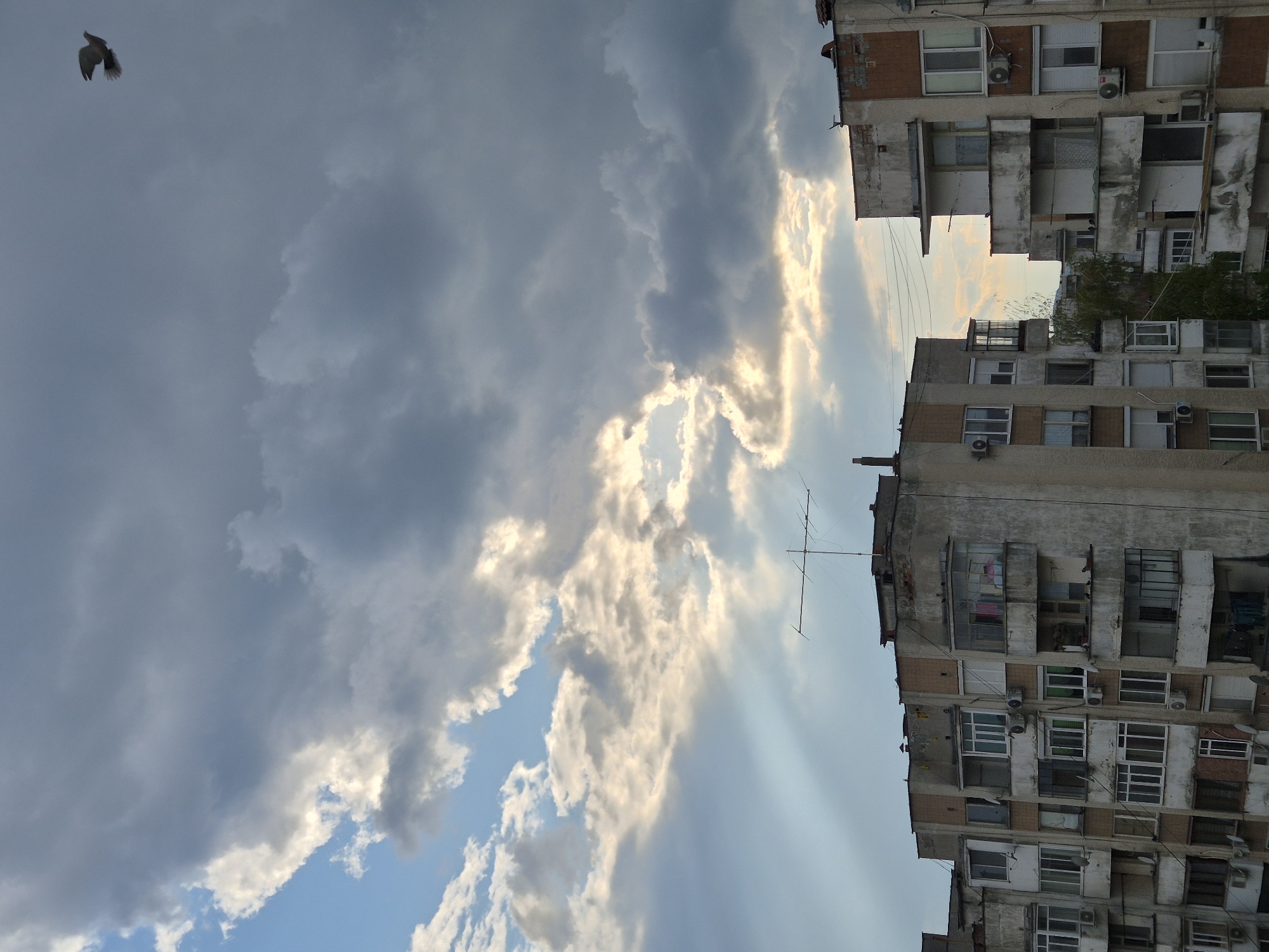 This image captures an urban or semi-urban scene in Pavlikeni, Bulgaria, showcasing a dramatic sky framed by two multi-story residential buildings. The sky dominates the composition, filled with a dynamic mix of dark, heavy clouds and brightly illuminated, luminous clouds. Sunlight, likely from a low-lying sun in the late afternoon or early evening, breaks through the cloud cover, creating striking rays of light and highlighting the edges of the clouds with golden and white hues.
In the upper left quadrant, a single bird, possibly a pigeon, is captured in flight against the cloudy backdrop. On both the left and right sides of the frame, two tall, utilitarian apartment blocks rise, appearing weathered with concrete facades. These buildings feature numerous windows, many equipped with external air conditioning units, and several small balconies, some of which have clothes hanging to dry. An antenna, resembling a Yagi antenna, is visible on the rooftop of the building on the left. The overall impression is one of everyday urban life punctuated by a moment of dramatic natural light. No discernible text is visible in the image.