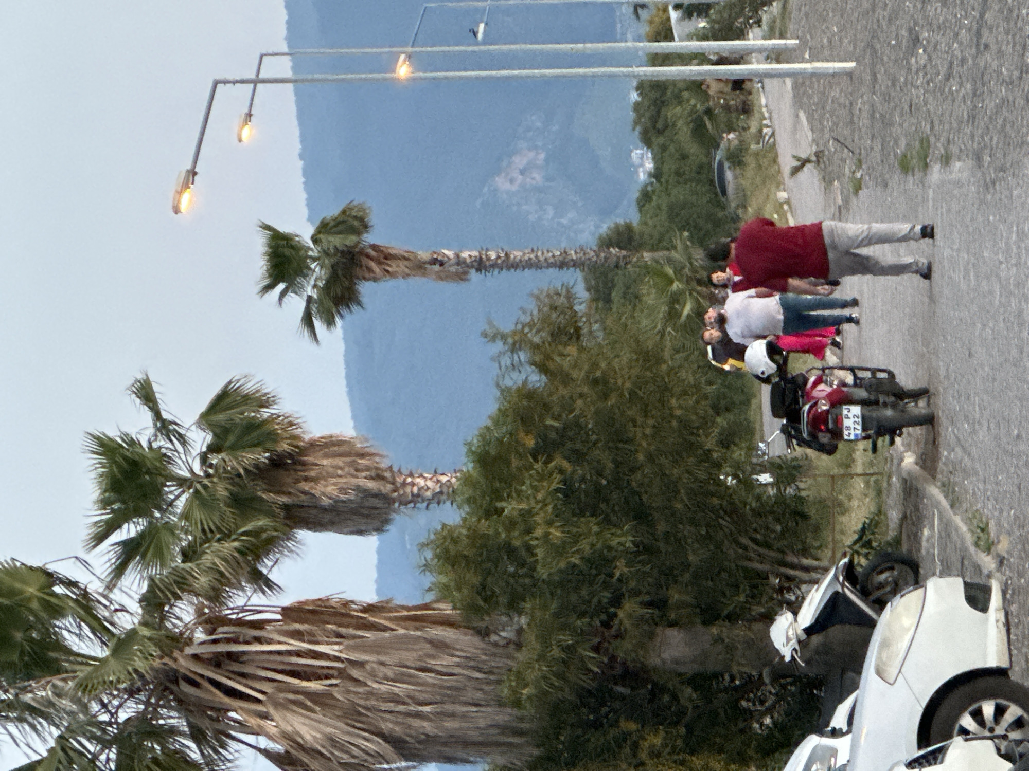 This image, captured in Fethiye, Turkey, presents a rotated roadside scene, likely during dusk or an overcast day, given the illuminated streetlights. In the foreground, several palm trees with thick, textured trunks and green fronds stand tall, obscuring part of a distant mountainous landscape. Beyond the palm trees, a line of dense green bushes further delineates the edge of an asphalt road.
On the grey asphalt road, a small group of three to four people is visible. One individual, wearing a dark red long-sleeved shirt and light grey pants, is seen from behind, appearing to walk away from the group towards the background. Another person wears a white t-shirt, and a third is partially visible in a dark jacket.
Several vehicles are parked along the roadside. A white car or scooter is prominent in the lower right, with its headlights and a wheel visible. Further along the road, a red motorcycle or scooter is parked, displaying a license plate that clearly reads "48 PJ 722". A white helmet rests near the vehicles.
The background is dominated by large, distant mountains, appearing blueish against an overcast, light grey sky. Two modern streetlights with glowing yellow lamps extend into the upper part of the frame, providing artificial light to the scene. The overall impression is a quiet street in a scenic, possibly coastal, area.