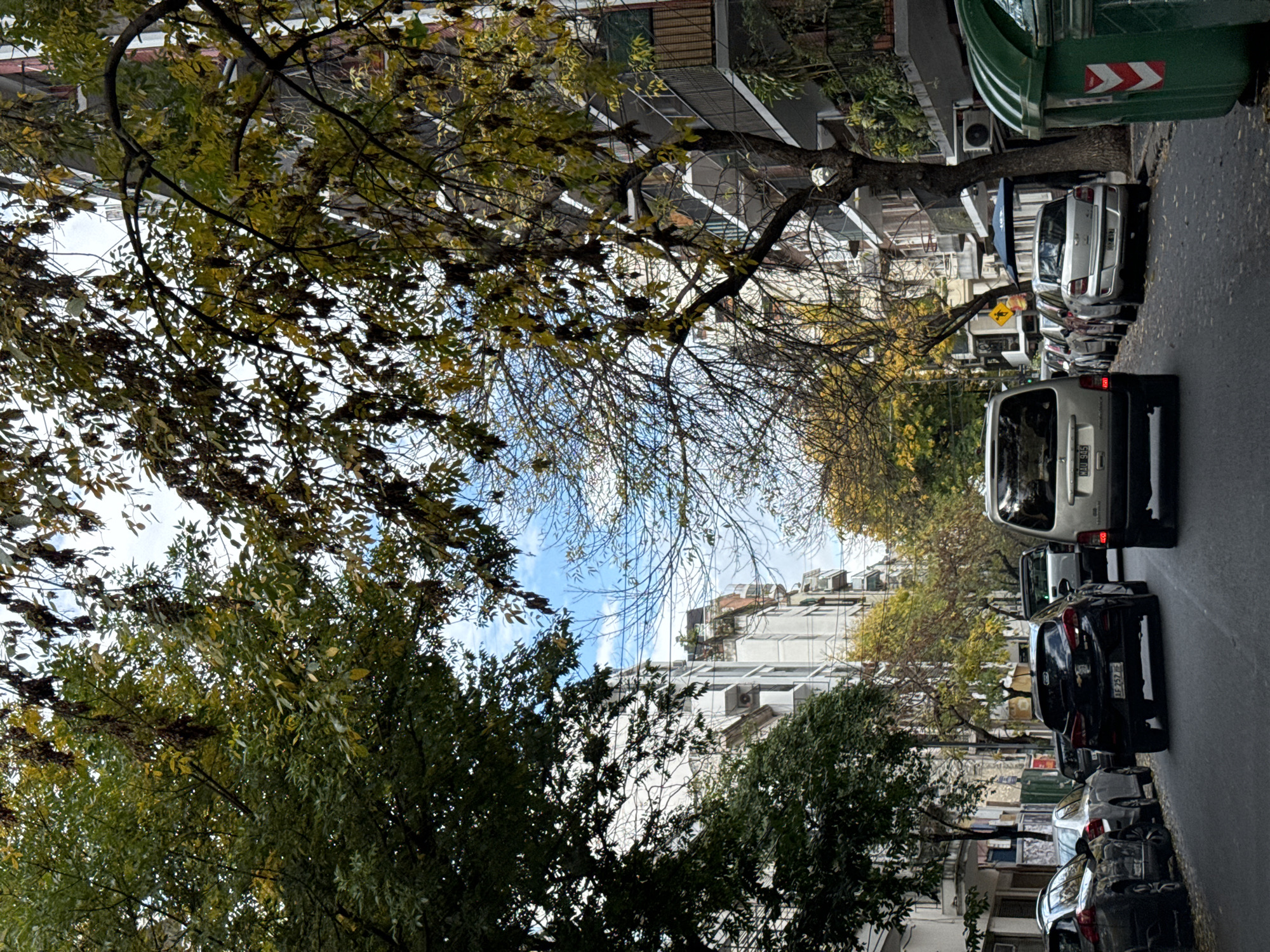 The image depicts a street in Buenos Aires, Argentina. The street is lined with apartment buildings and parked cars. Trees with green and yellow leaves line the street, partially obscuring the buildings. A garbage bin is visible on the right side of the frame. The sky is visible through the branches, with some patches of blue.