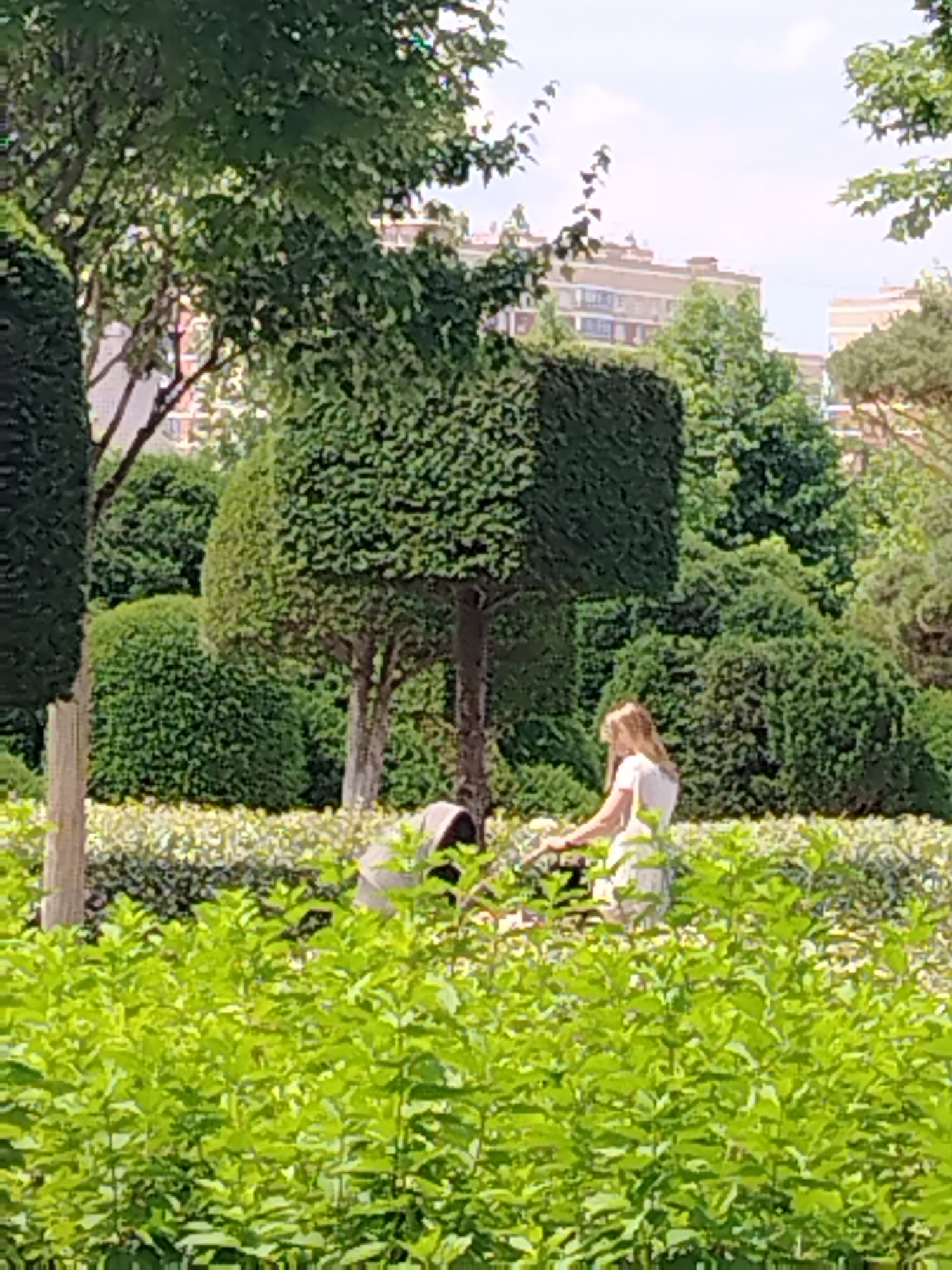 A woman in a light-colored dress is pushing a stroller through a park in Krasnodar, Russia. She is walking on a path behind a row of bright green bushes. In the background, there are manicured trees, some shaped into geometric forms, and buildings are visible in the distance. The weather appears to be sunny with some clouds.